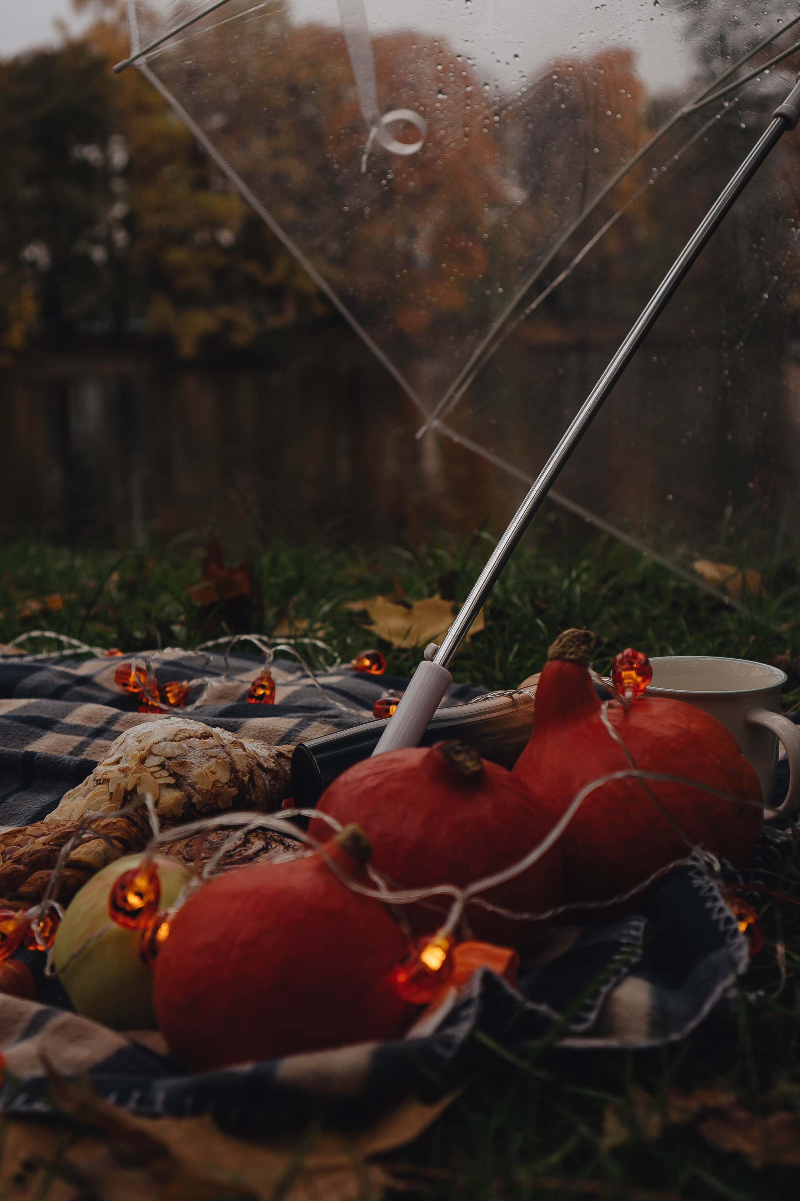 Осень. Профессиональный фотограф, Санкт-Петербург — Виктория Богомолова