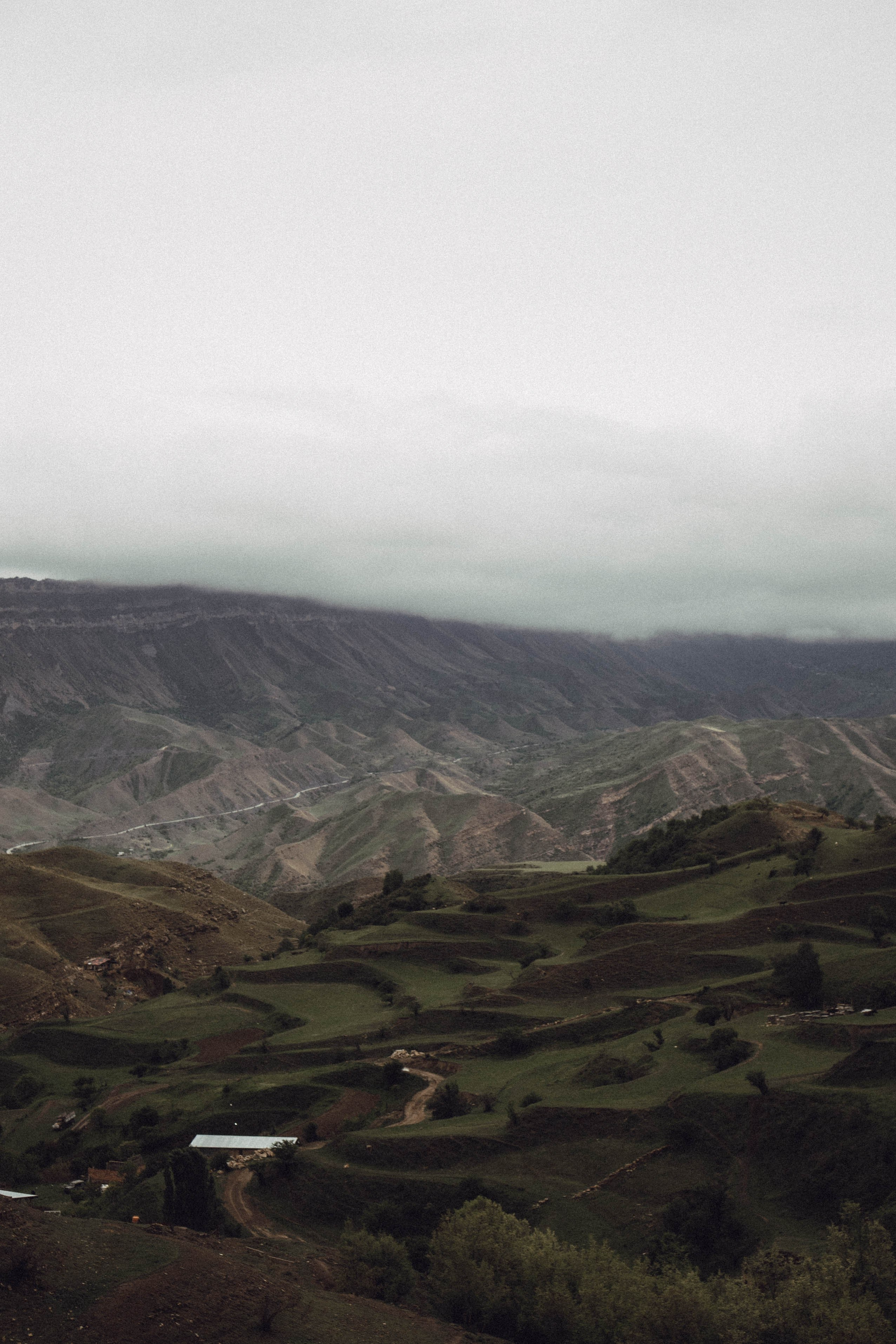 Кавказ. Профессиональный фотограф, Санкт-Петербург — Виктория Богомолова