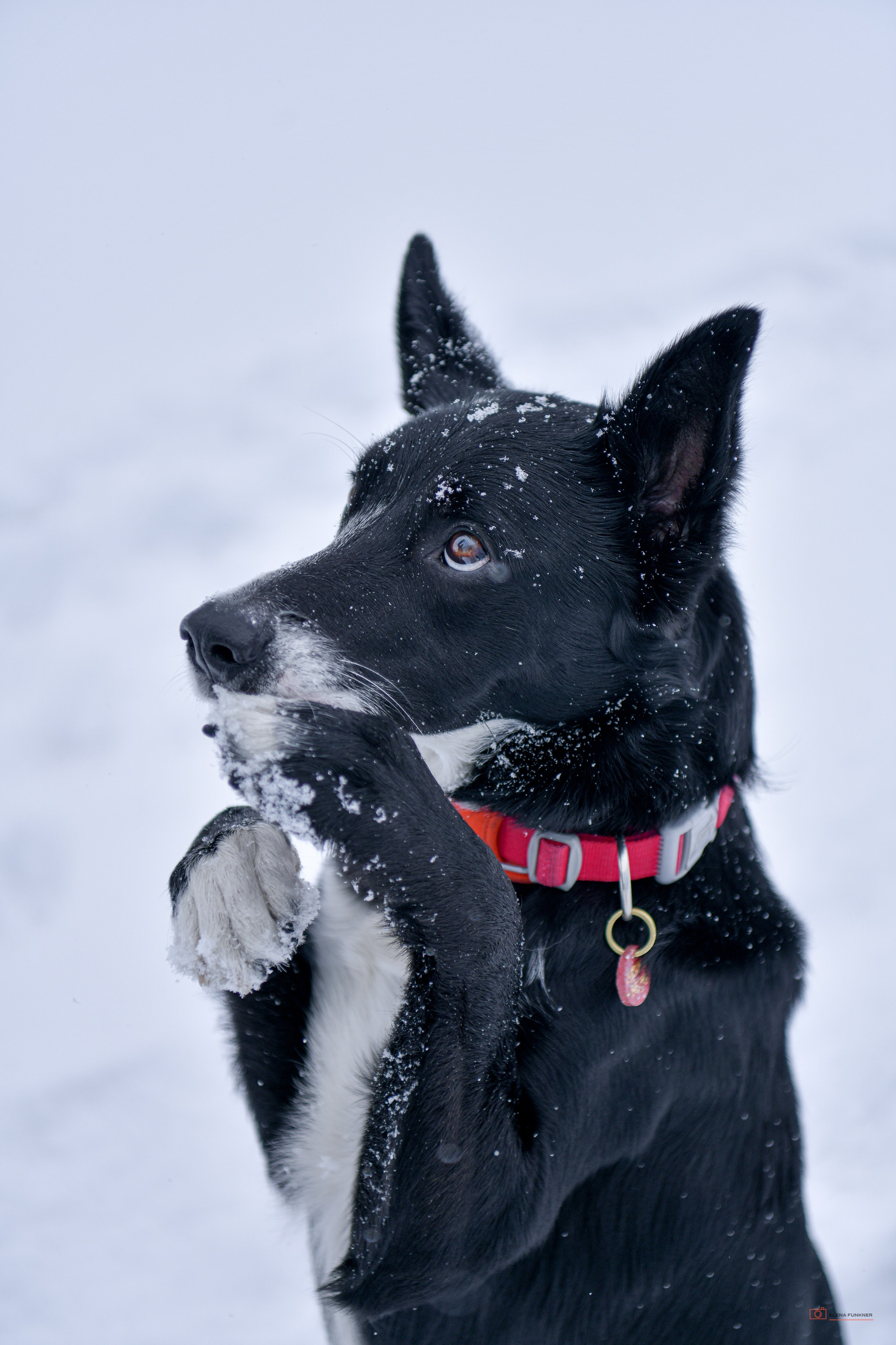 Зима. Свой взгляд через объектив