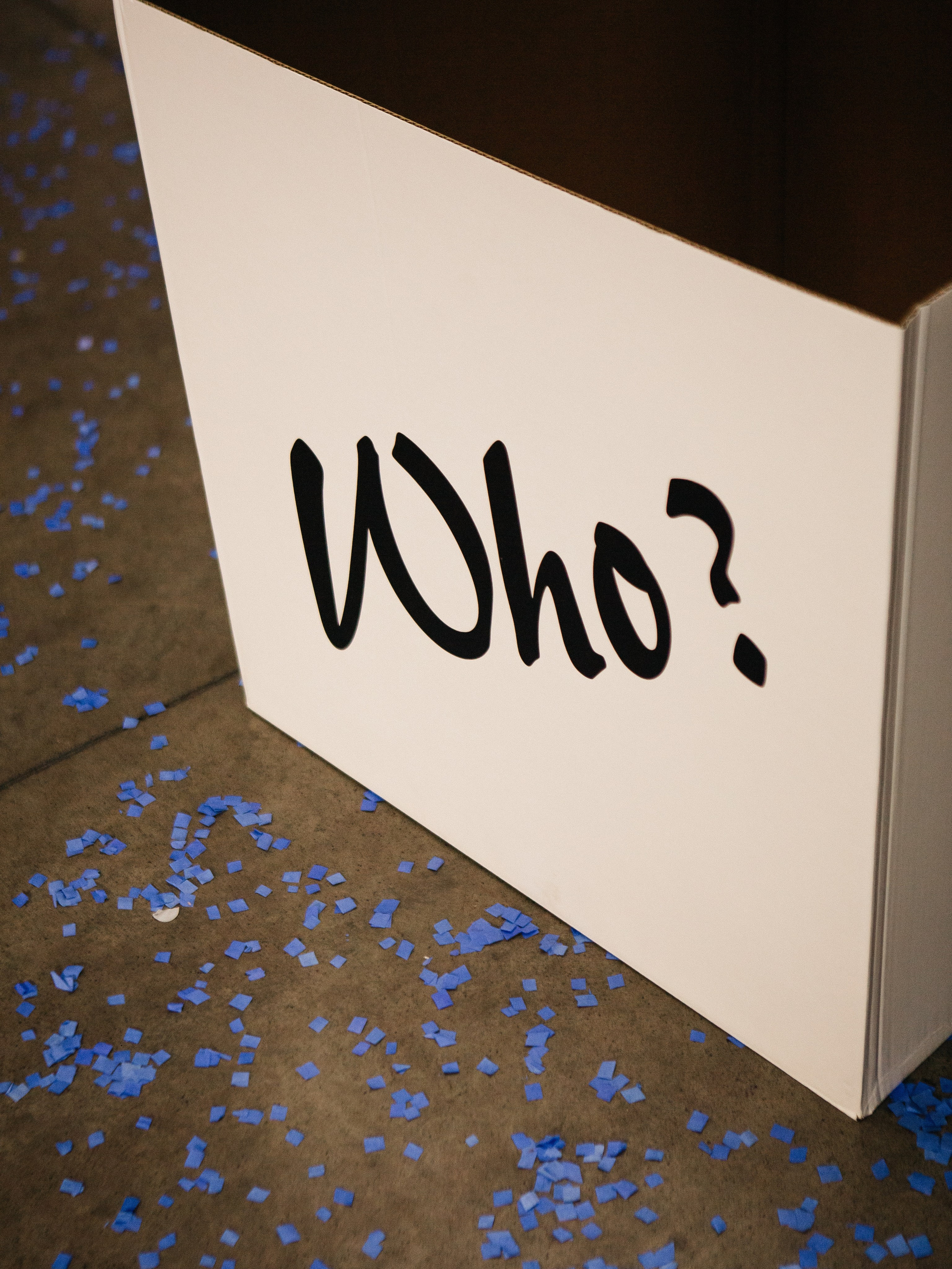 Паутина|Гендер-пати. Свадебный фотограф Челябинск Зиненко Виктория