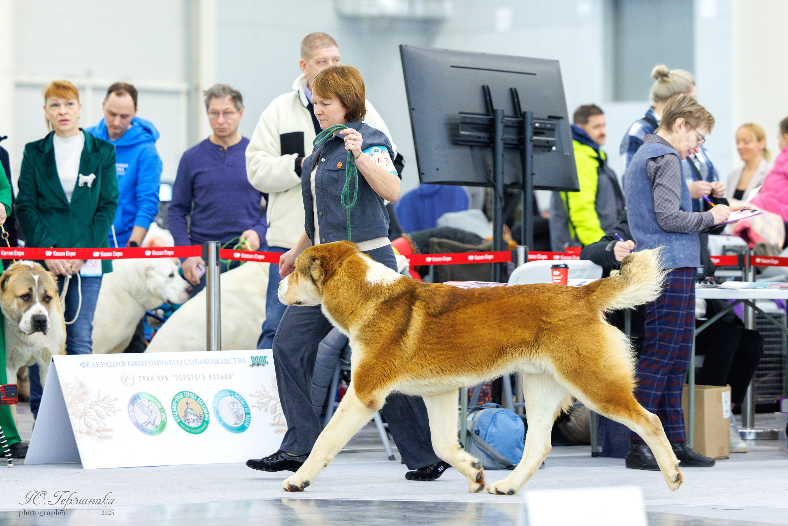 Сабанеевка Казань 25-26.01.2025. Фотограф-анималист Юлия Германика