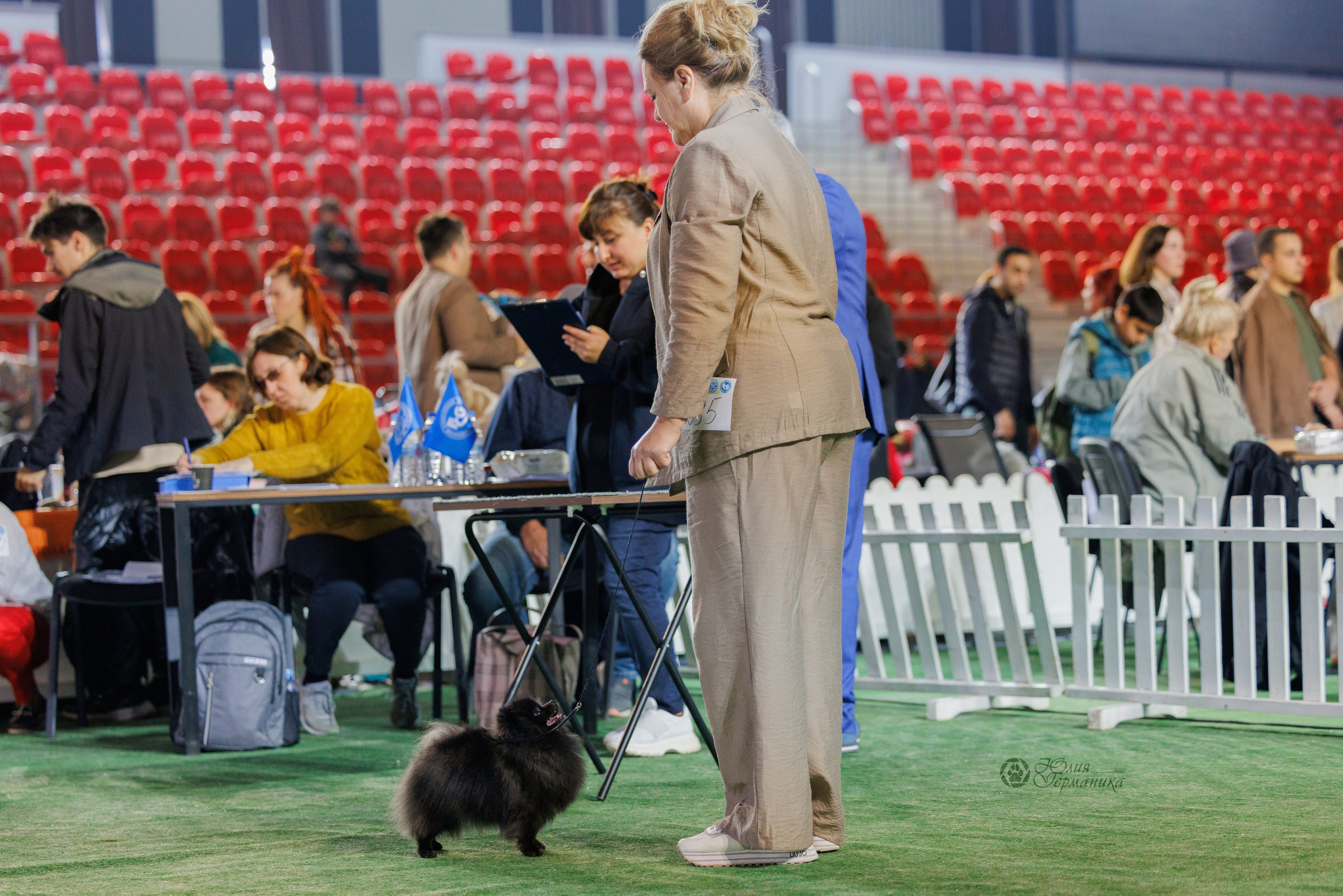 Грузия,Телави 2хCACIB 19-20.10.2024. Фотограф-анималист Юлия Германика