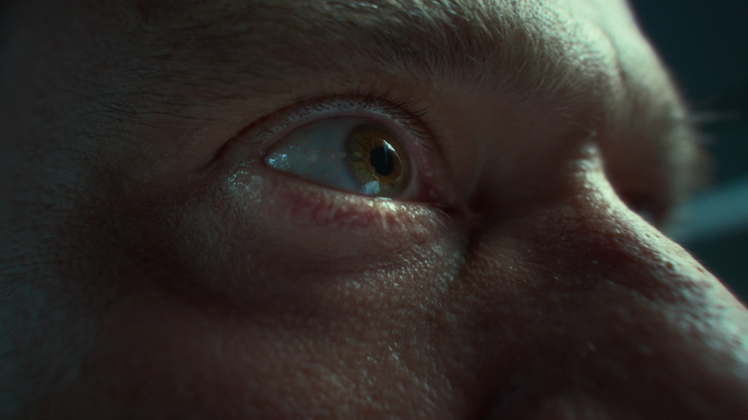 ВОЛАР. Колорист Кирилл Сокуренко