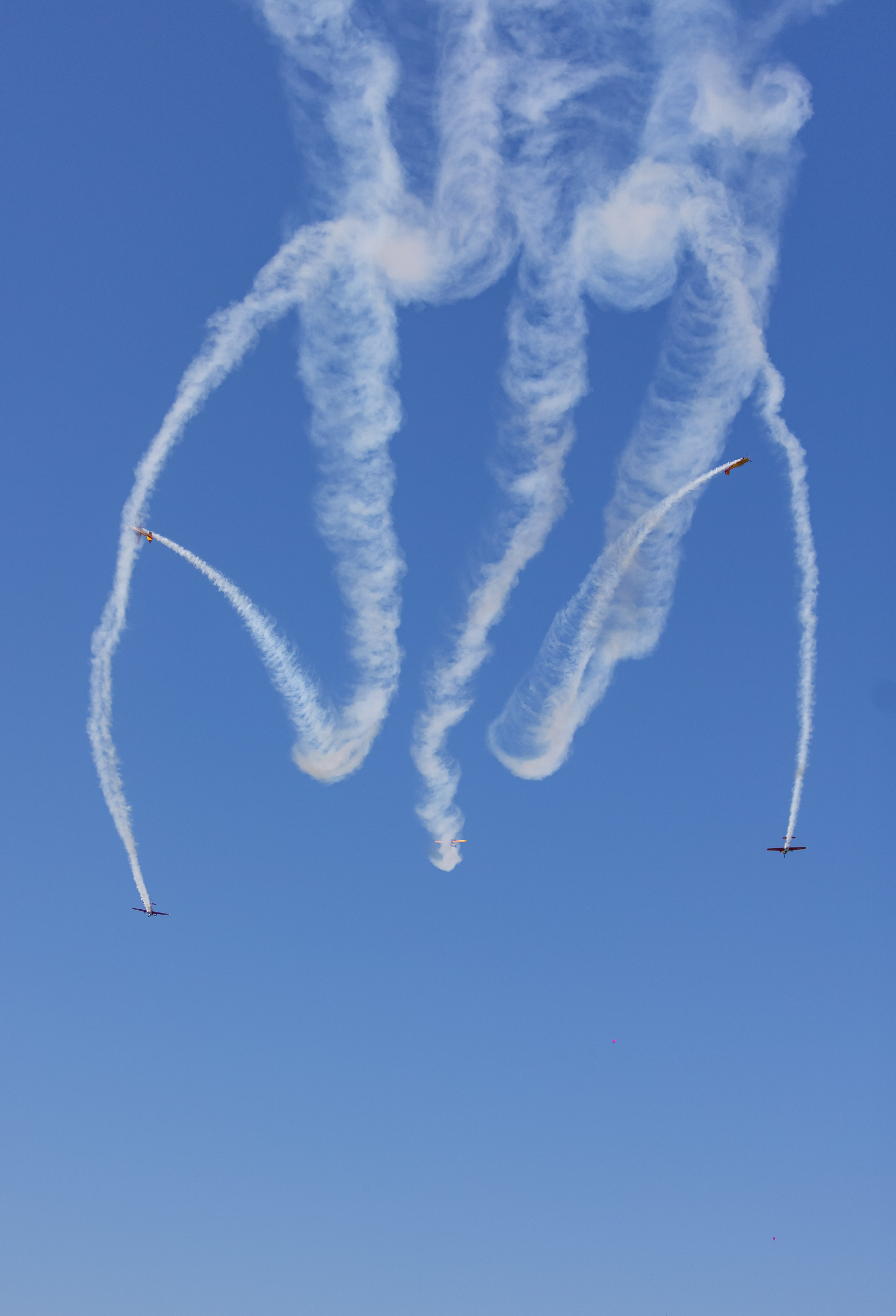 Крылья Пармы 2025 г. KATERINA VINOKUROVA ФОТОГРАФ ПЕРМЬ