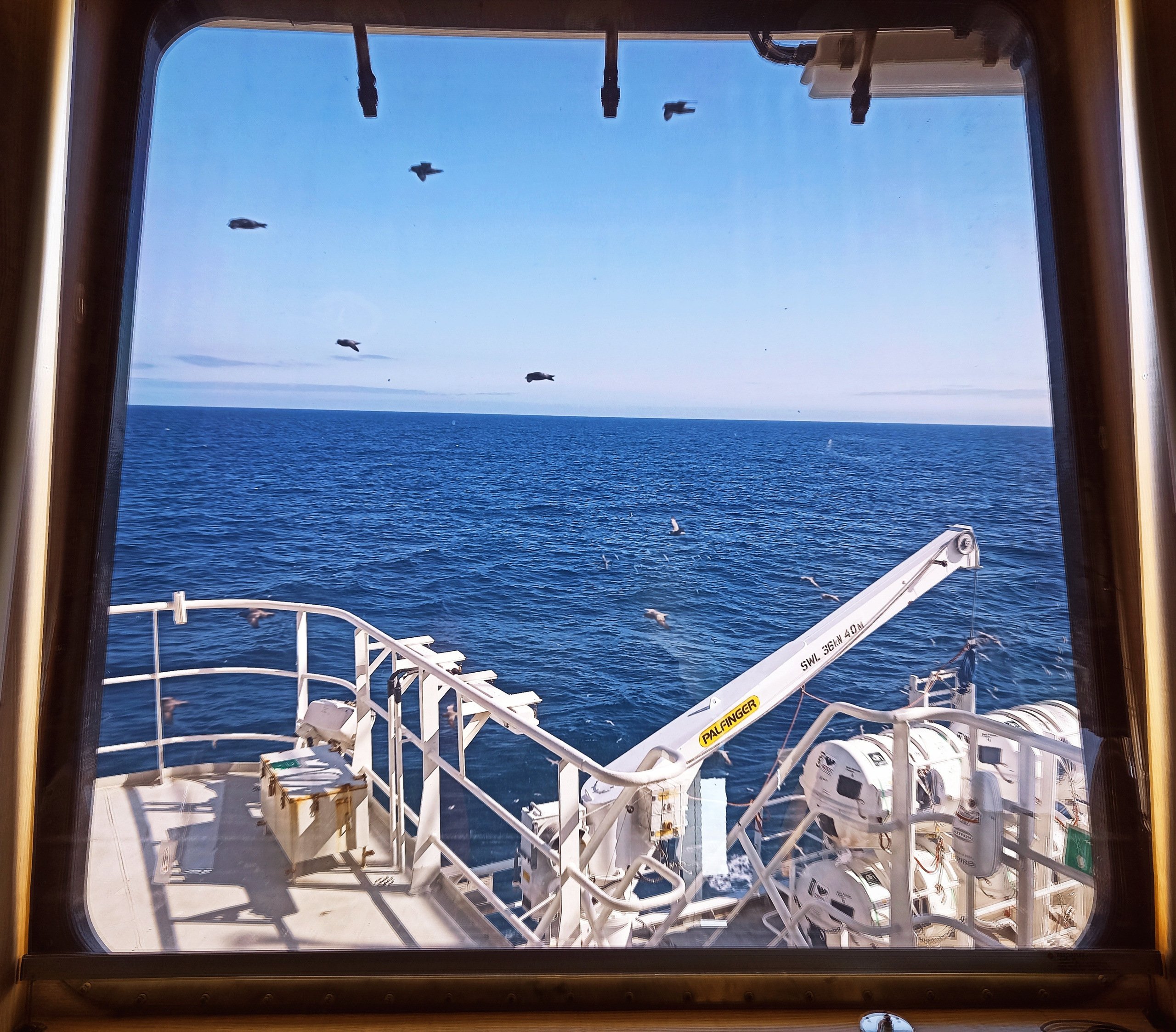 Мобильная фотография. Фотограф г. Владивосток