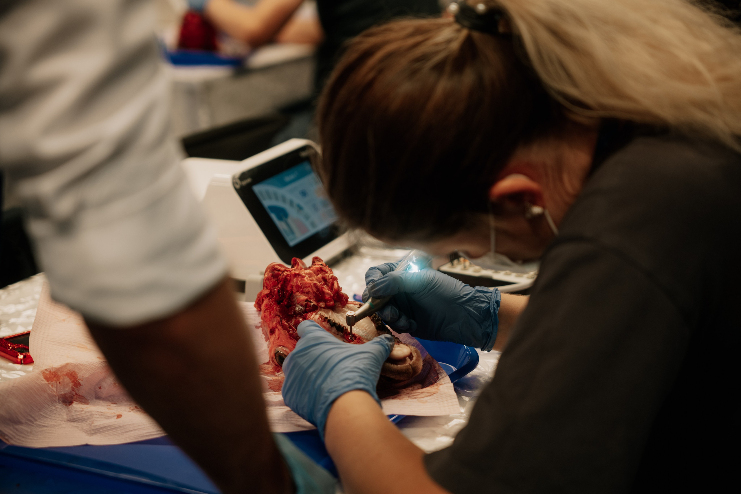 Конгресс. Превосходство через практику_2024. Фотограф и видеограф Мария Банщикова, Солнечногорск, Москва