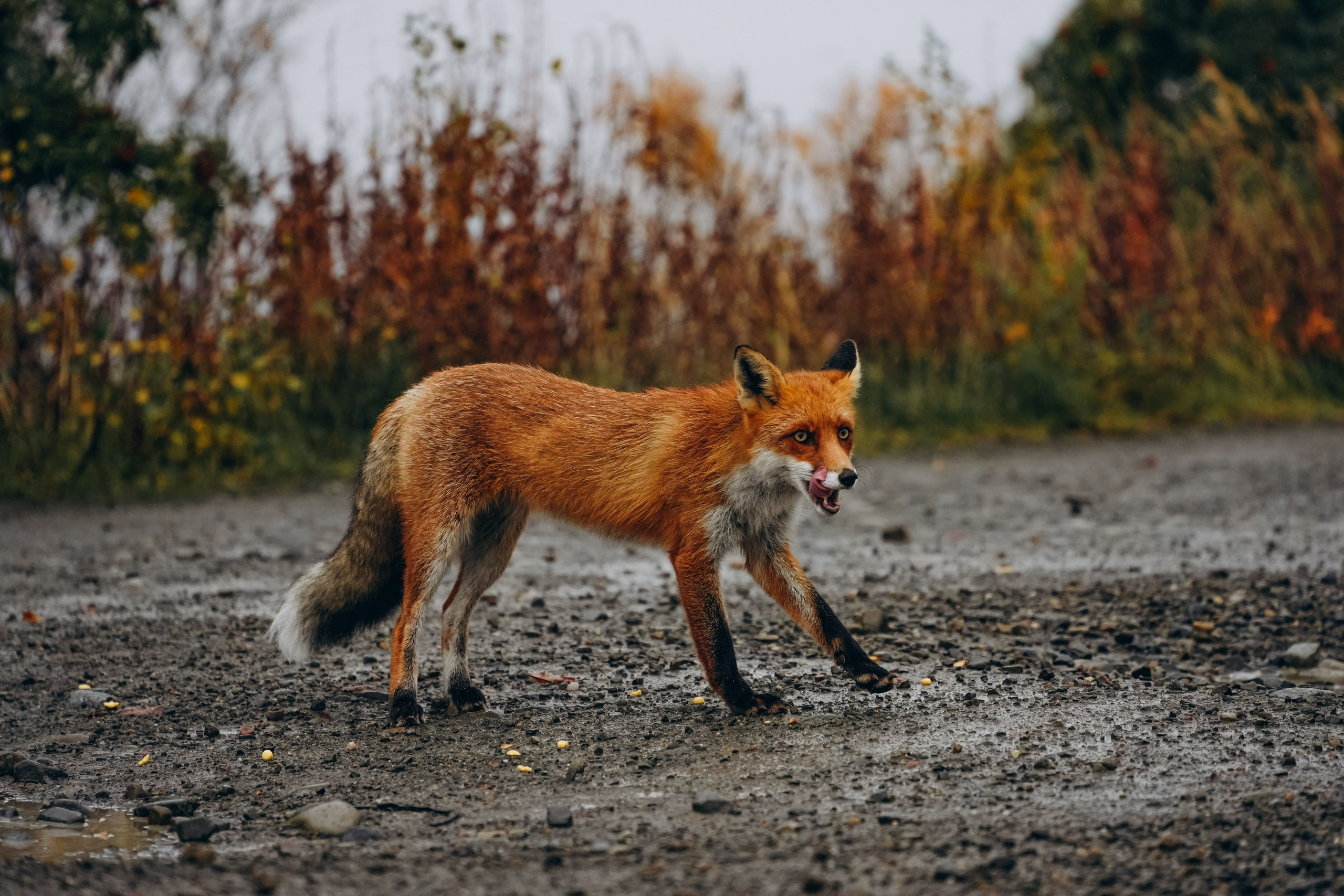 СЕВЕР. Event фотограф Степанова Александра