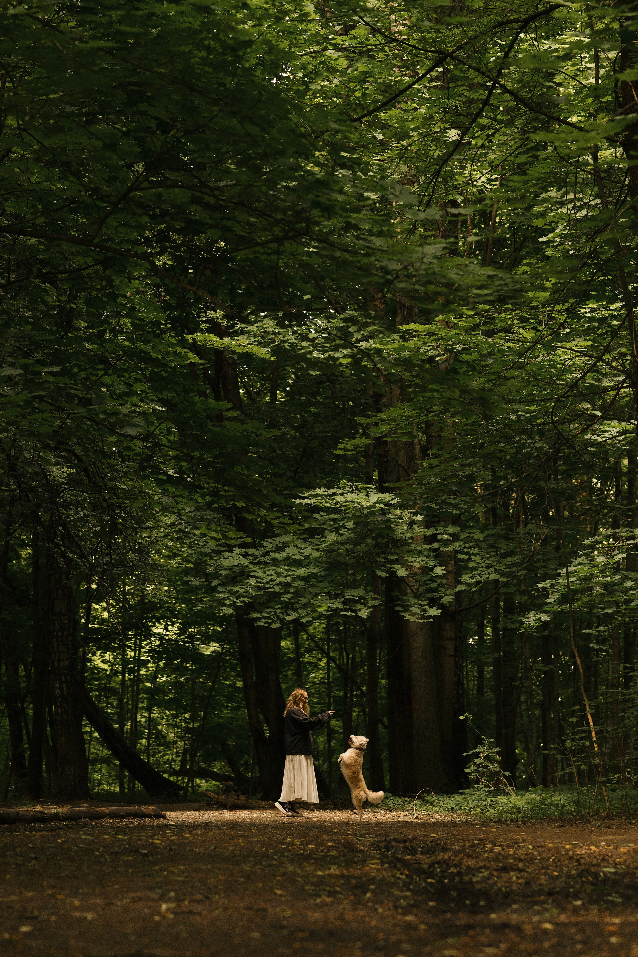 Акиро и Йоши. Фотограф- анималист Александра Матвеева
