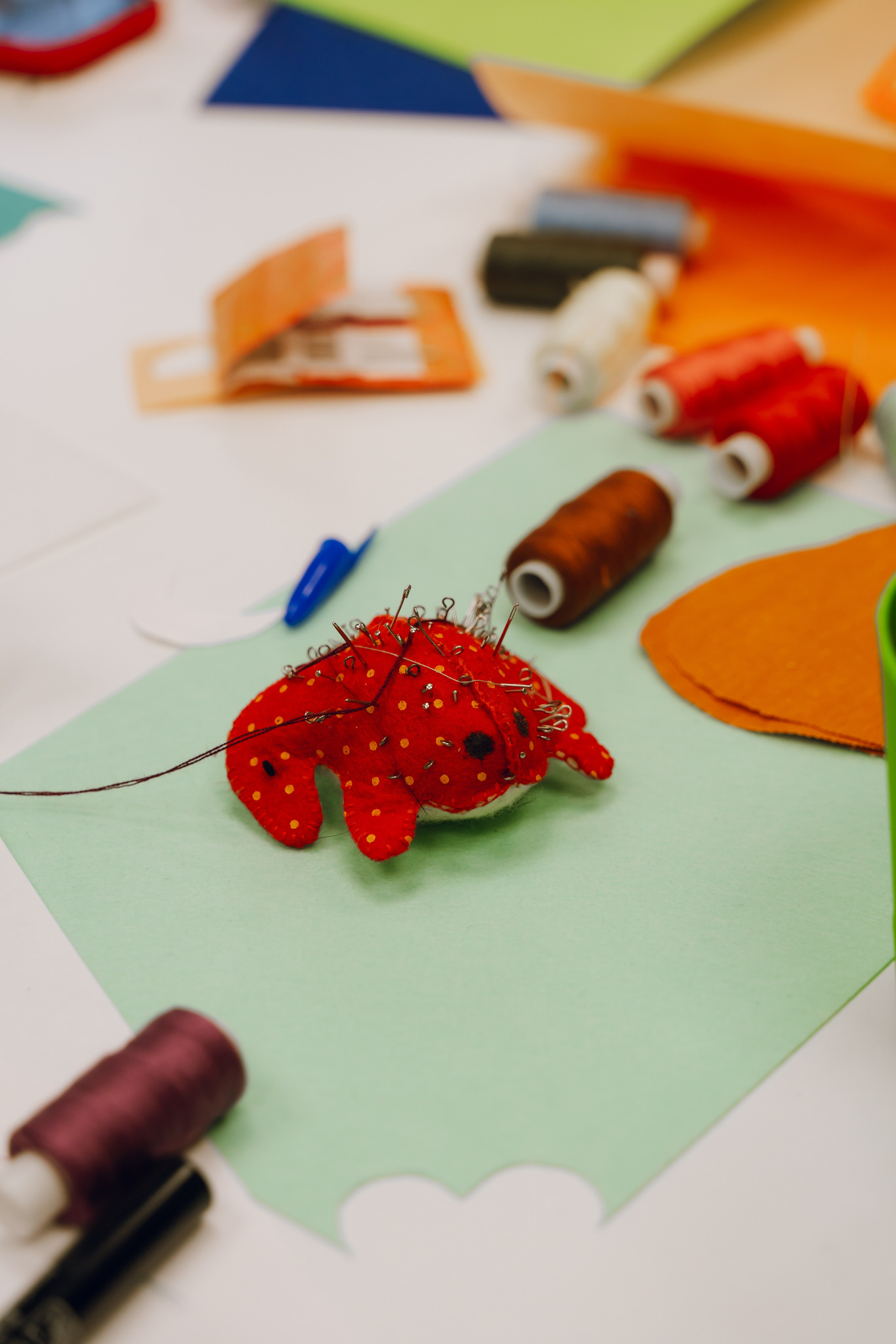 День молодежи в Доме молодежи 2025. Фотограф Надежда Погребняк | Рязань | Москва