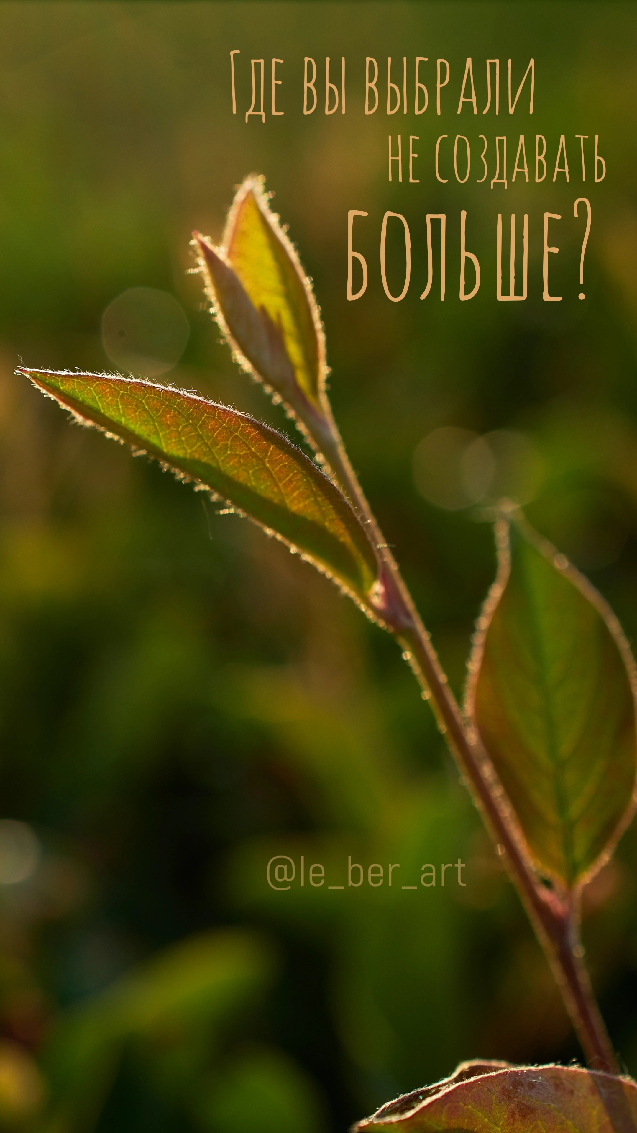 Заставки на телефон. Елена Берсенева, фотограф