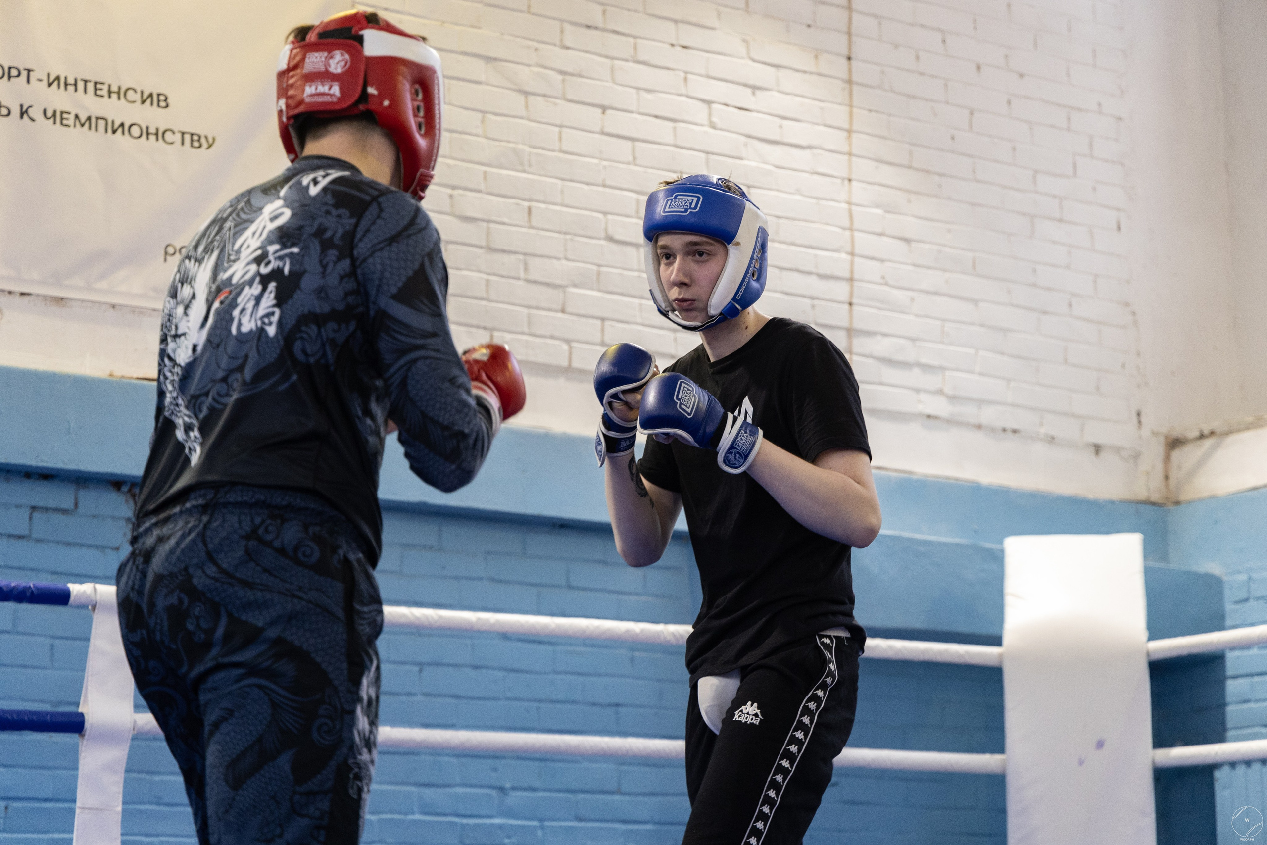 Соревнования MMA. Фотограф Александр Чистяков