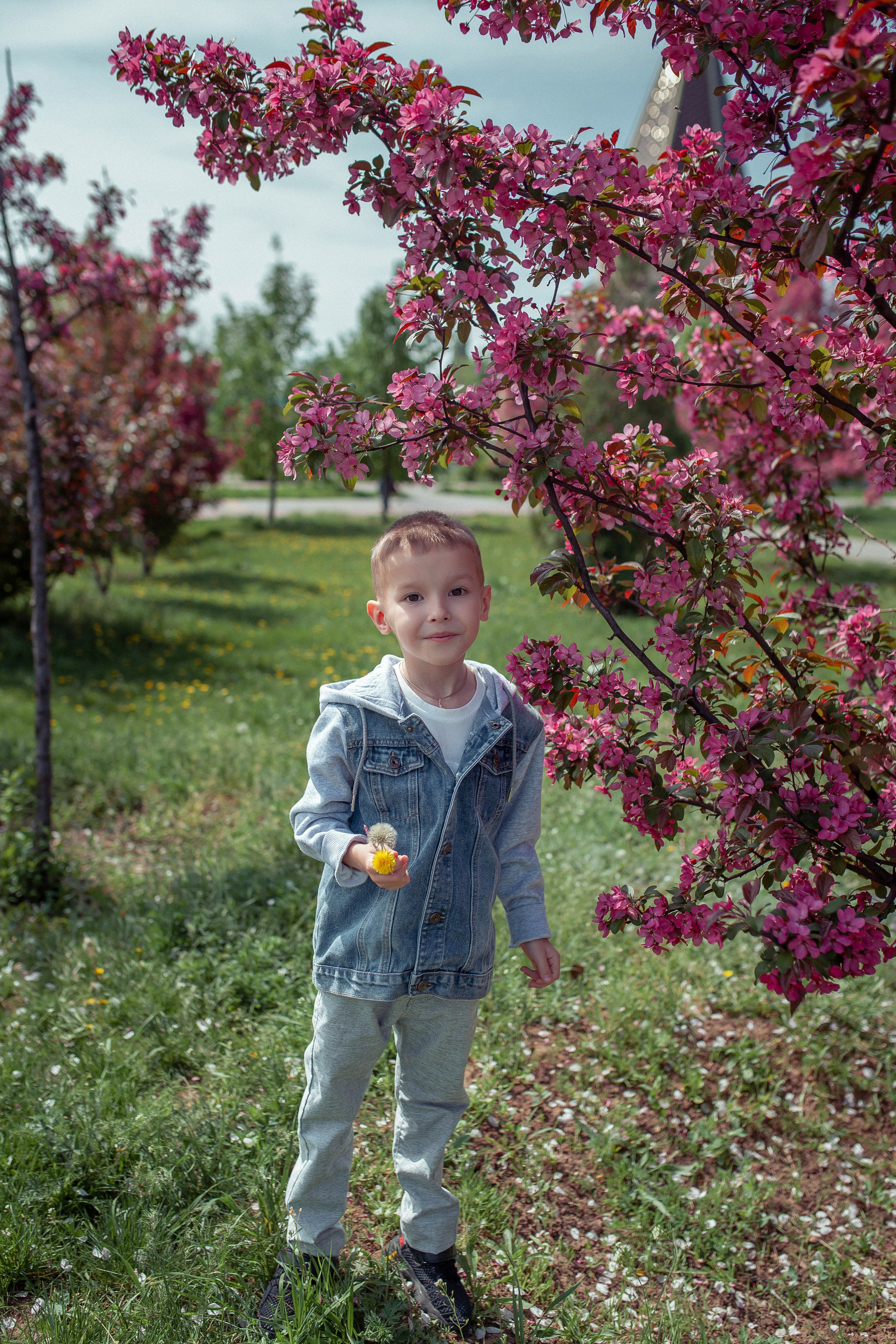 Семья Марии и Антона в весеннем цветении. Фотограф в Волгограде Норченко Светлана