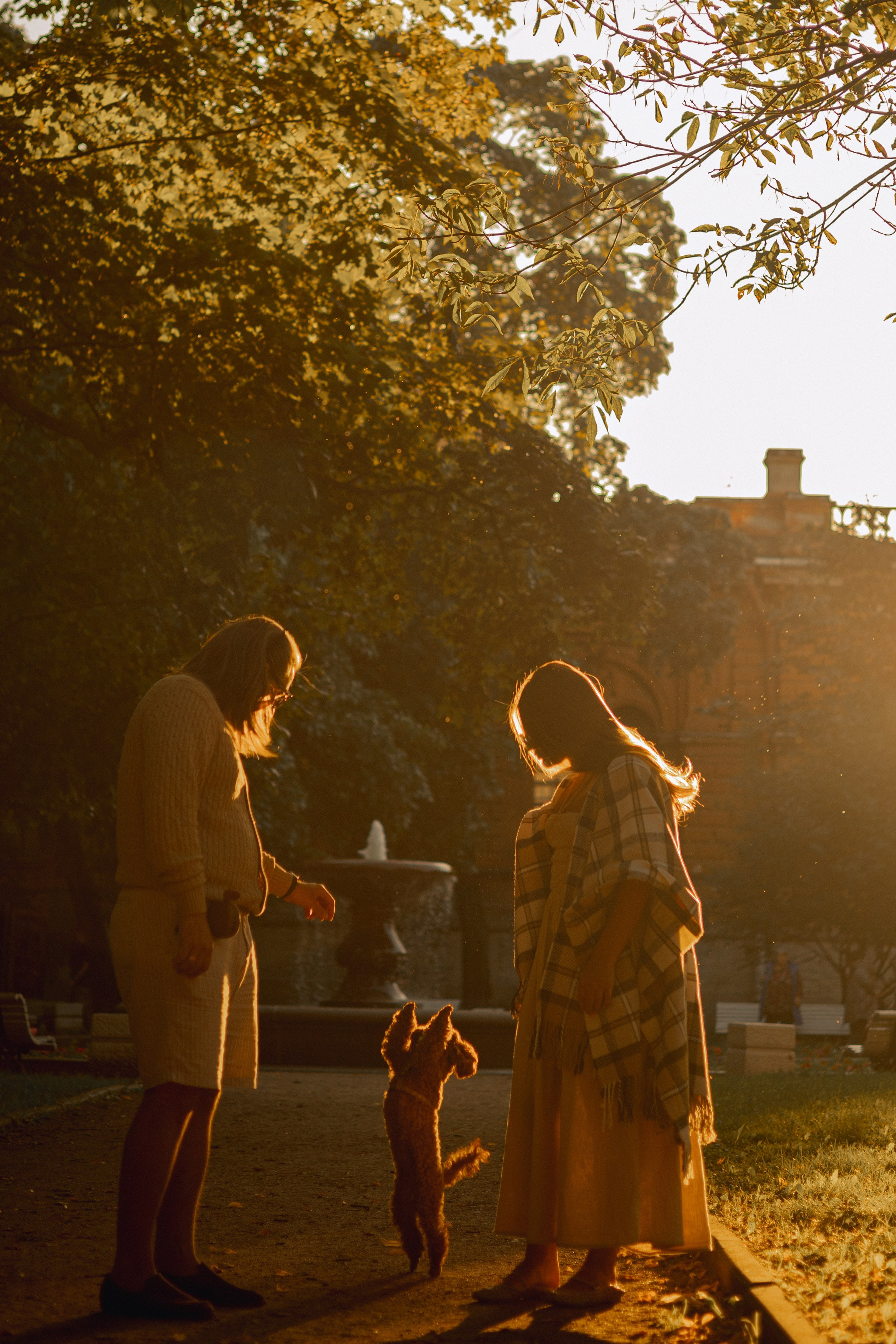 Мишель и её семья. Фотограф — анималист •love-story•|Санкт-Петербург