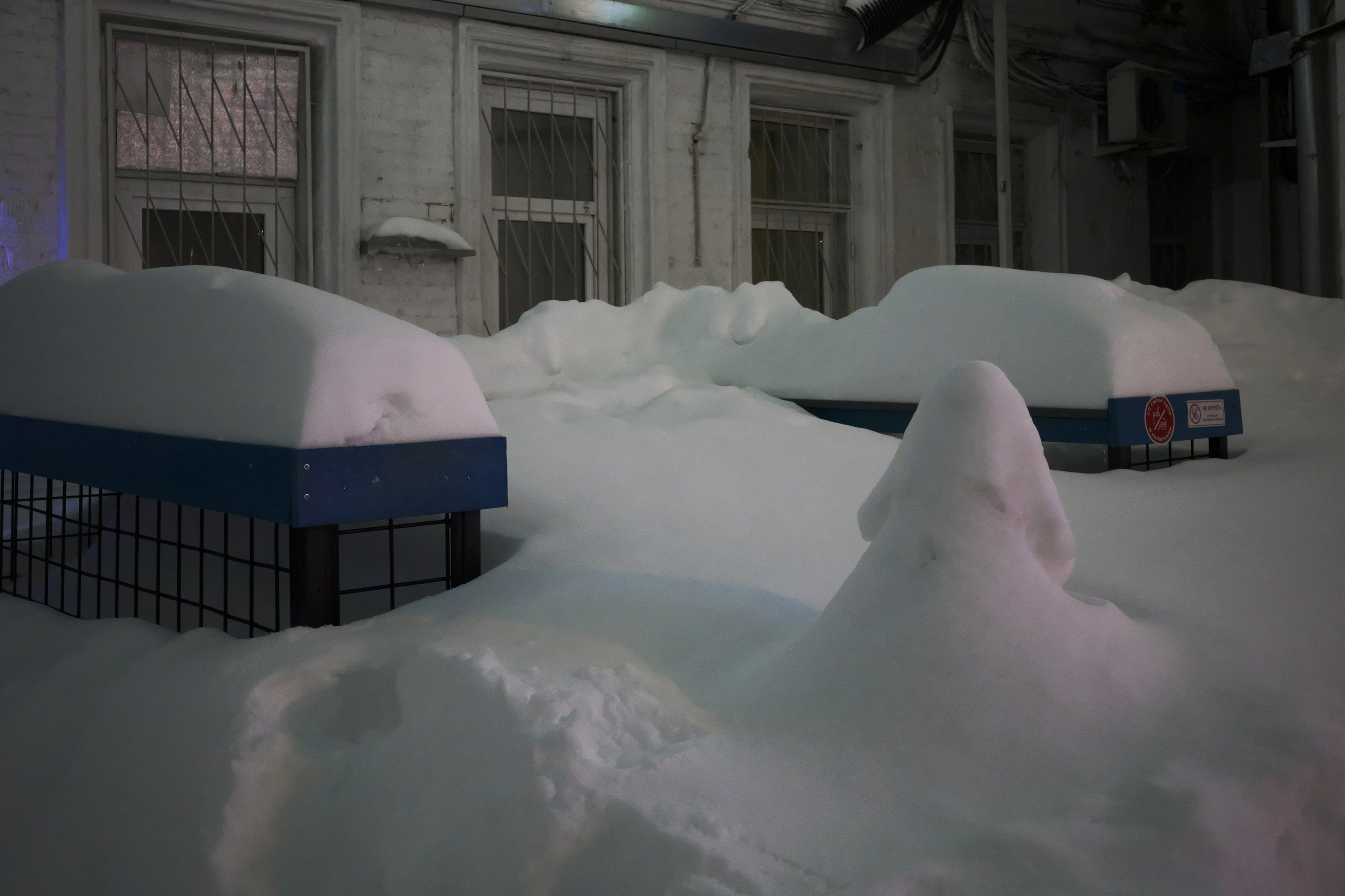 Субботний вечер 🍺. Миша Печёнкин | фотография