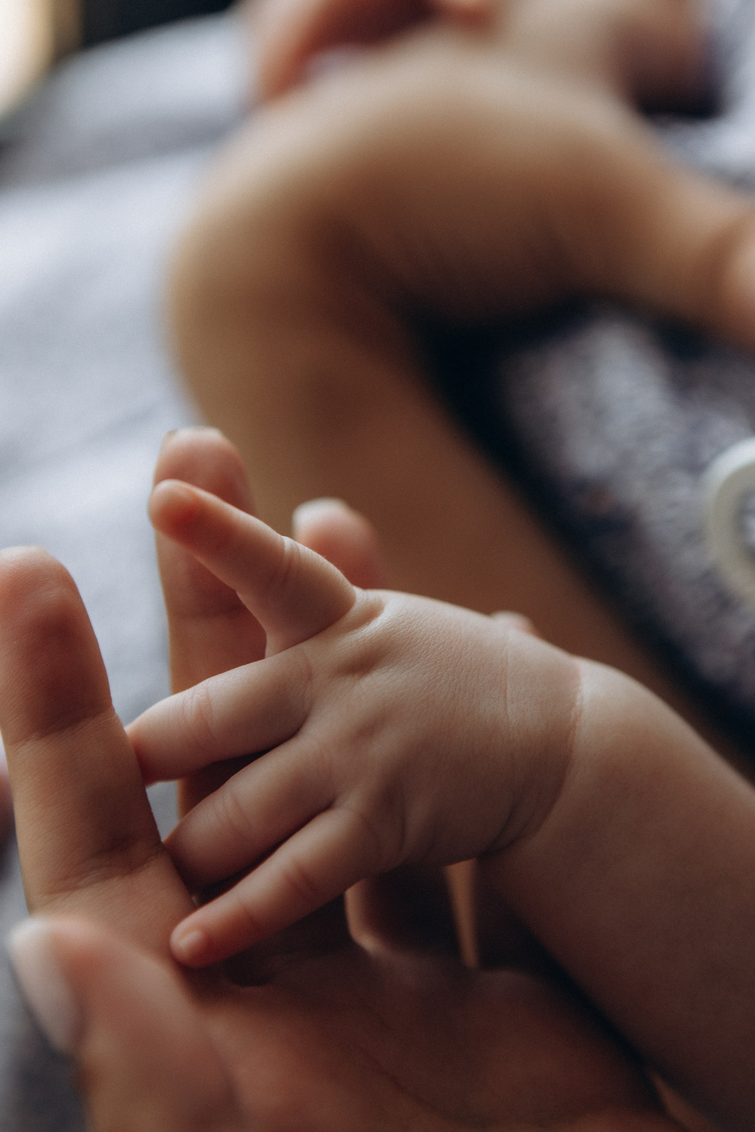 Мария. Семейный фотограф в Краснодаре Виктория Кокоулина