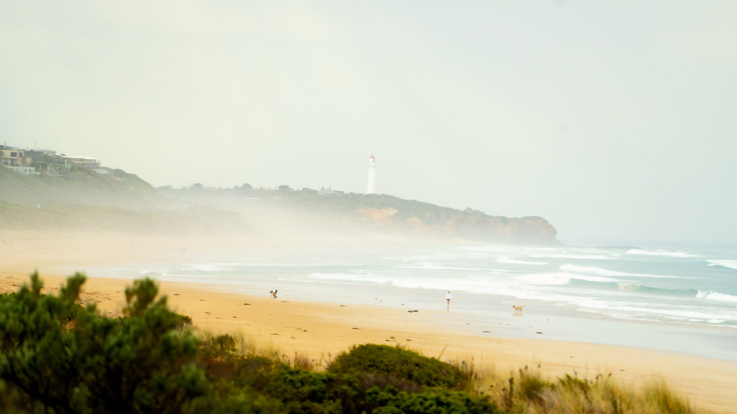 Австралия. Фотограф в Хабаровске. Фотография за 24 часа