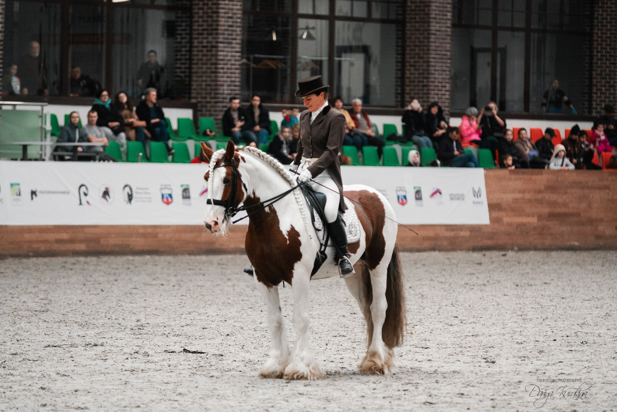 8-я международная выставка Конная Россия. Конный фотограф Куракина Дарья • Фотосессии с лошадьми