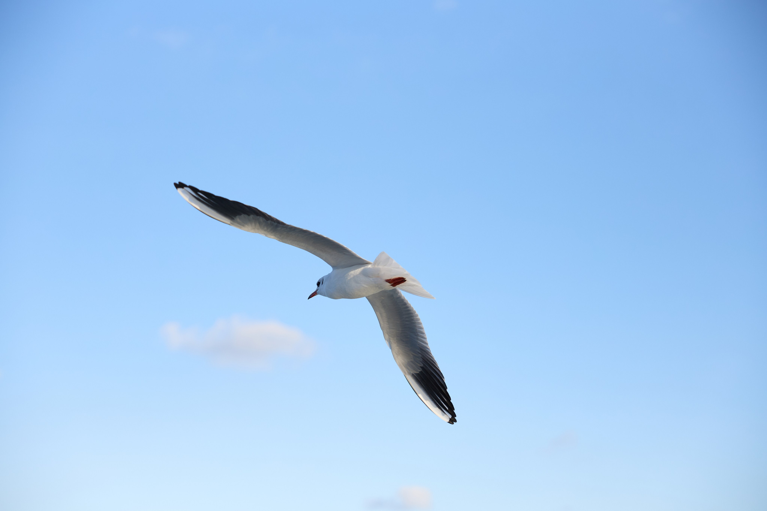 Стамбул 24. Фотограф Москва, Дима Пеллер