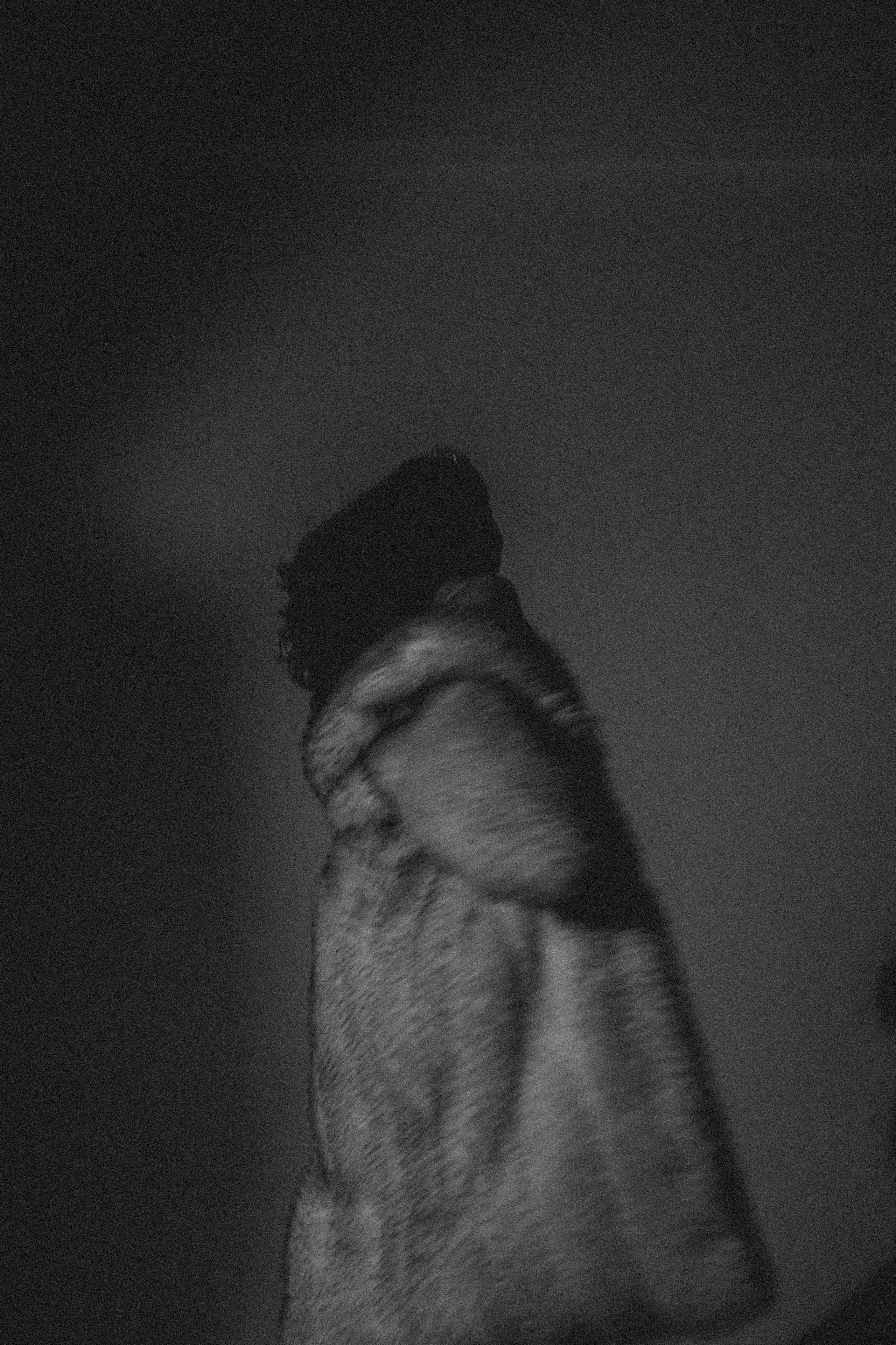 История ко дню рождения. Профессиональный фотограф, Санкт-Петербург — Виктория Богомолова