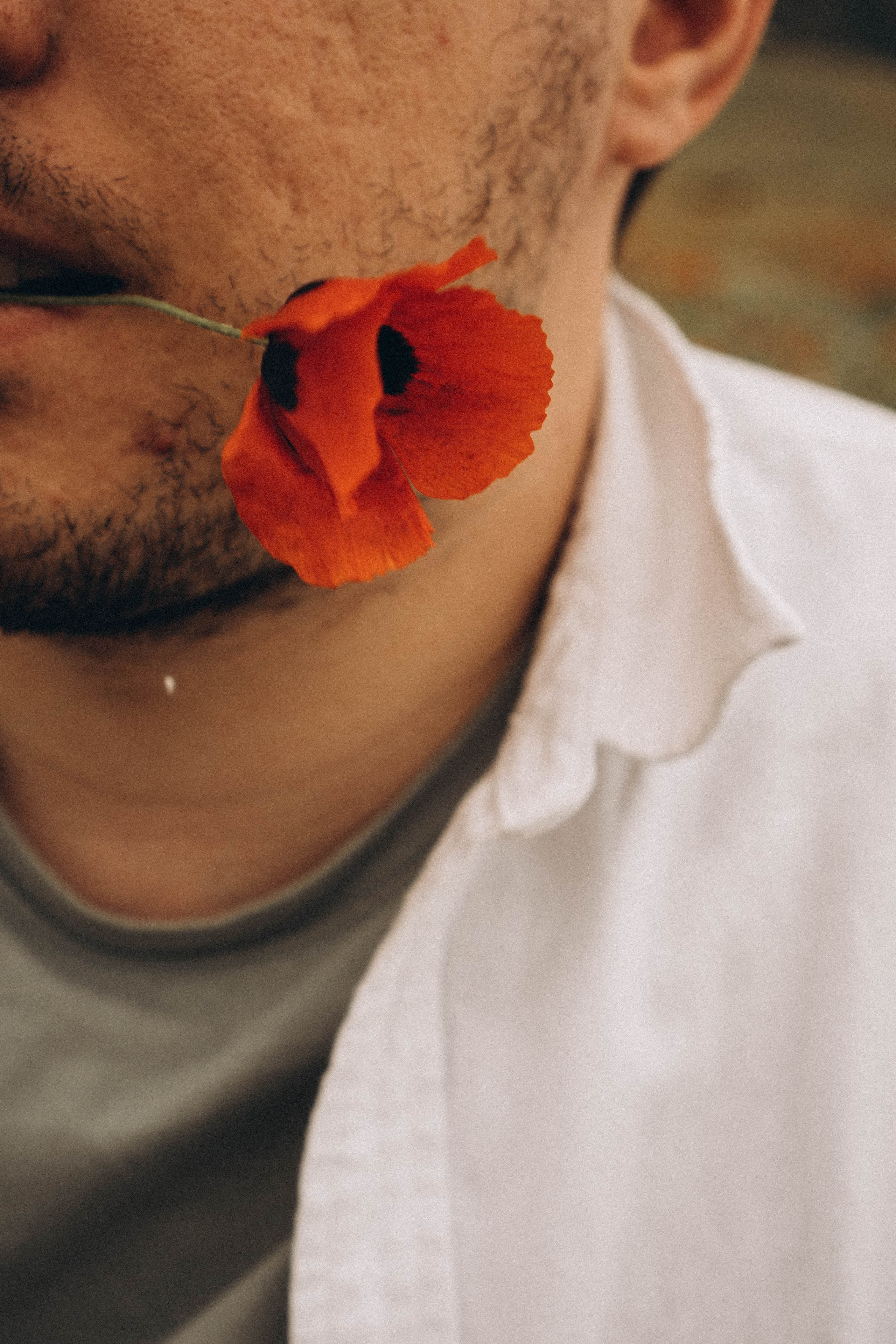 Маки. Профессиональный фотограф, Санкт-Петербург — Виктория Богомолова