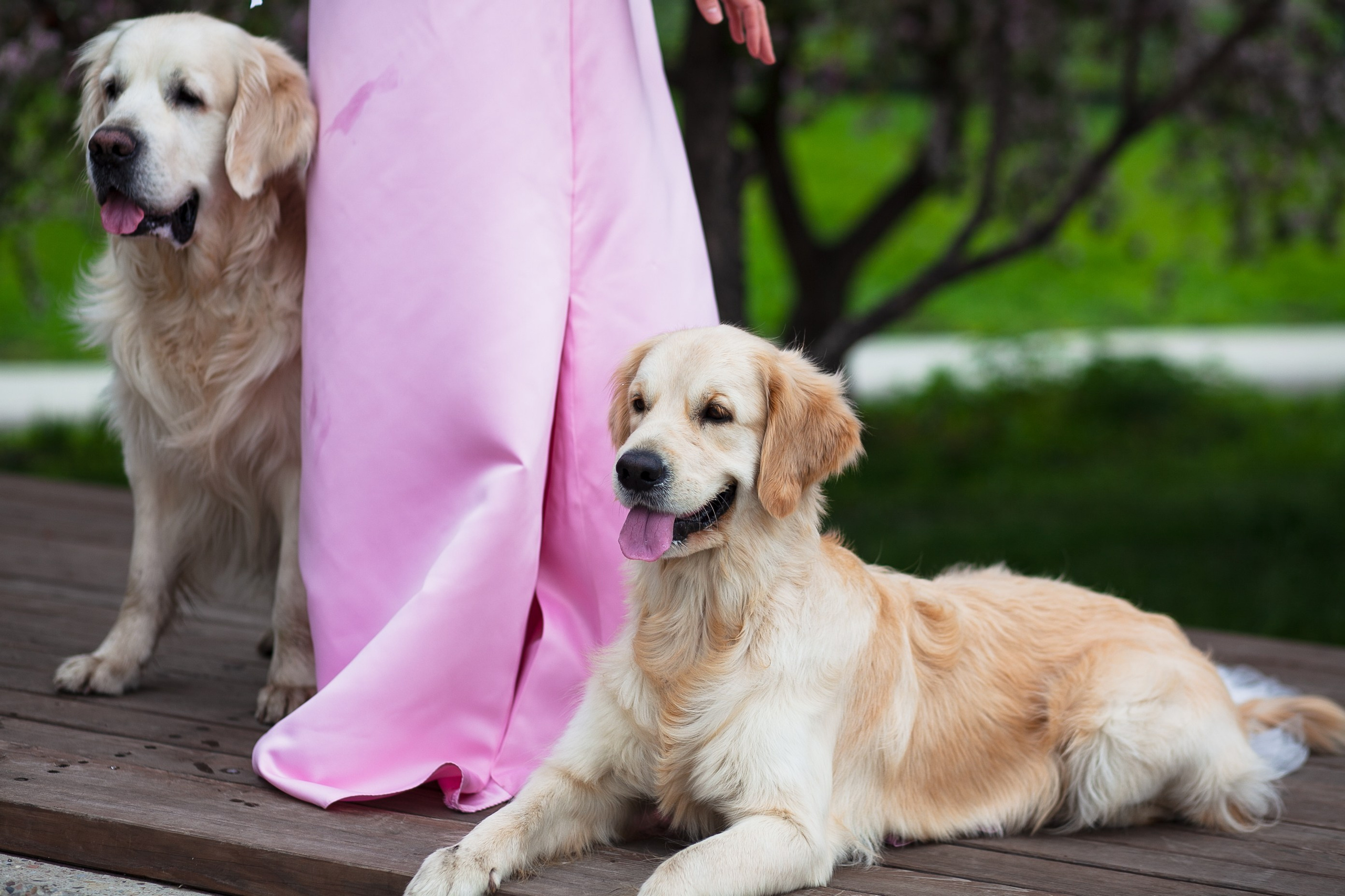 Елена. Фотограф Дарья Локотко в Красноярске