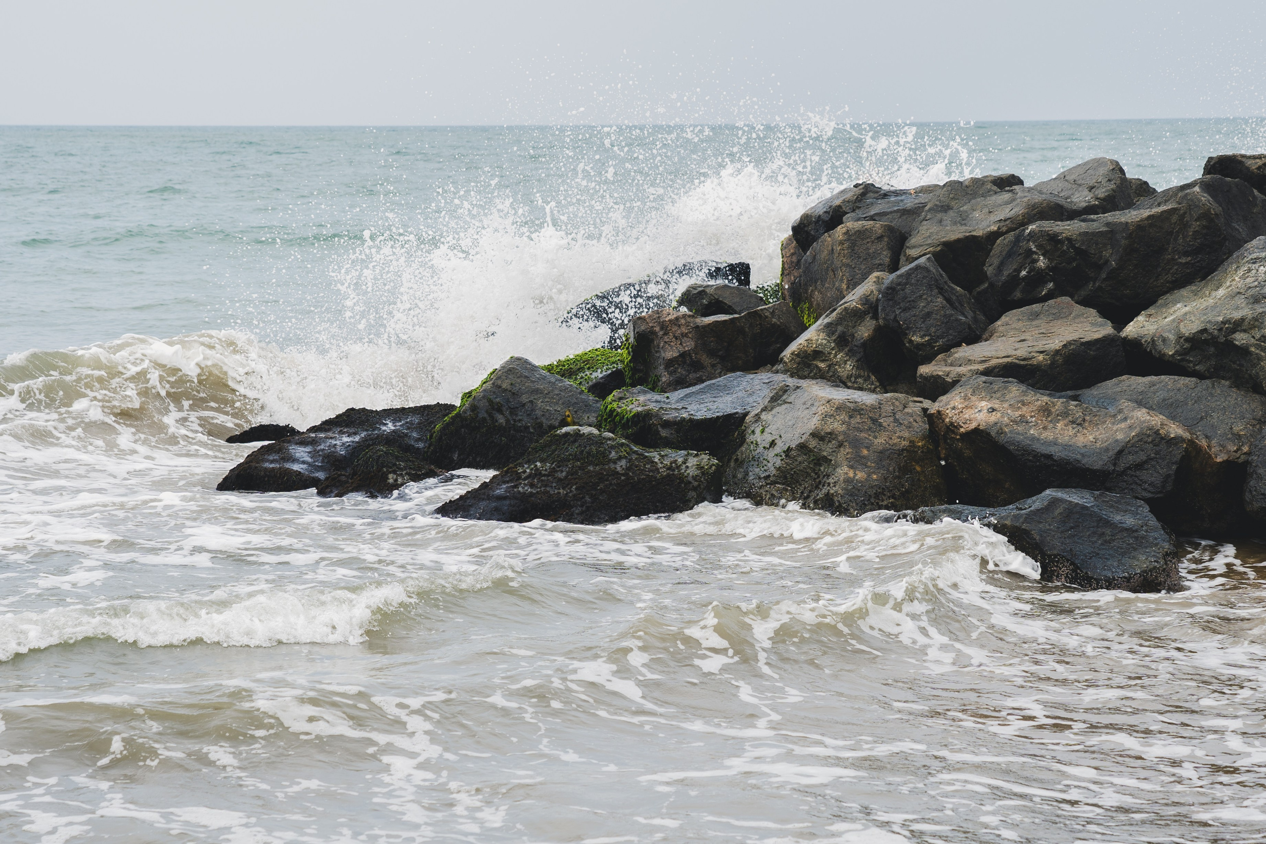 Шри-Ланка 2025. Легкая фотография