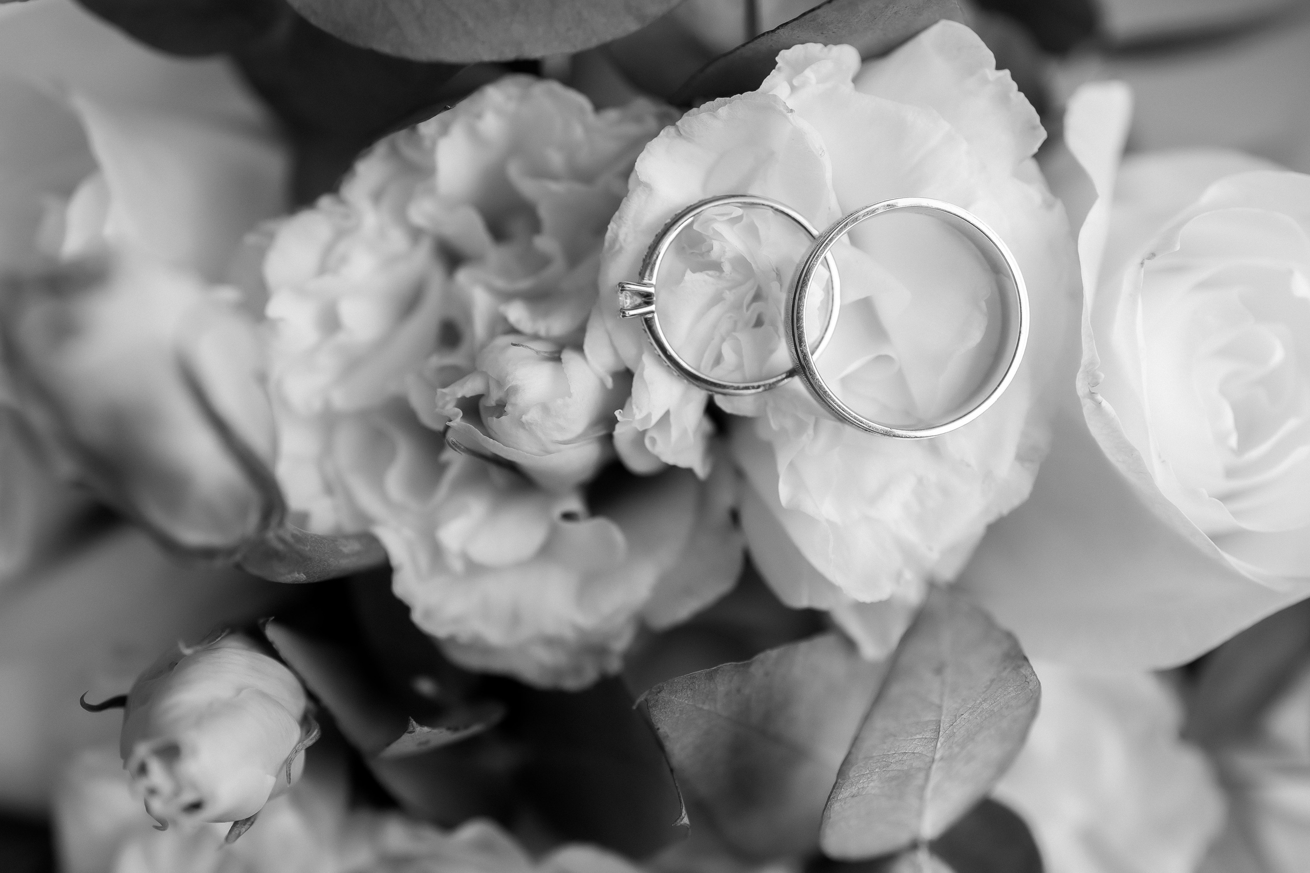 Фотограф Иваново Арина Кудаярова