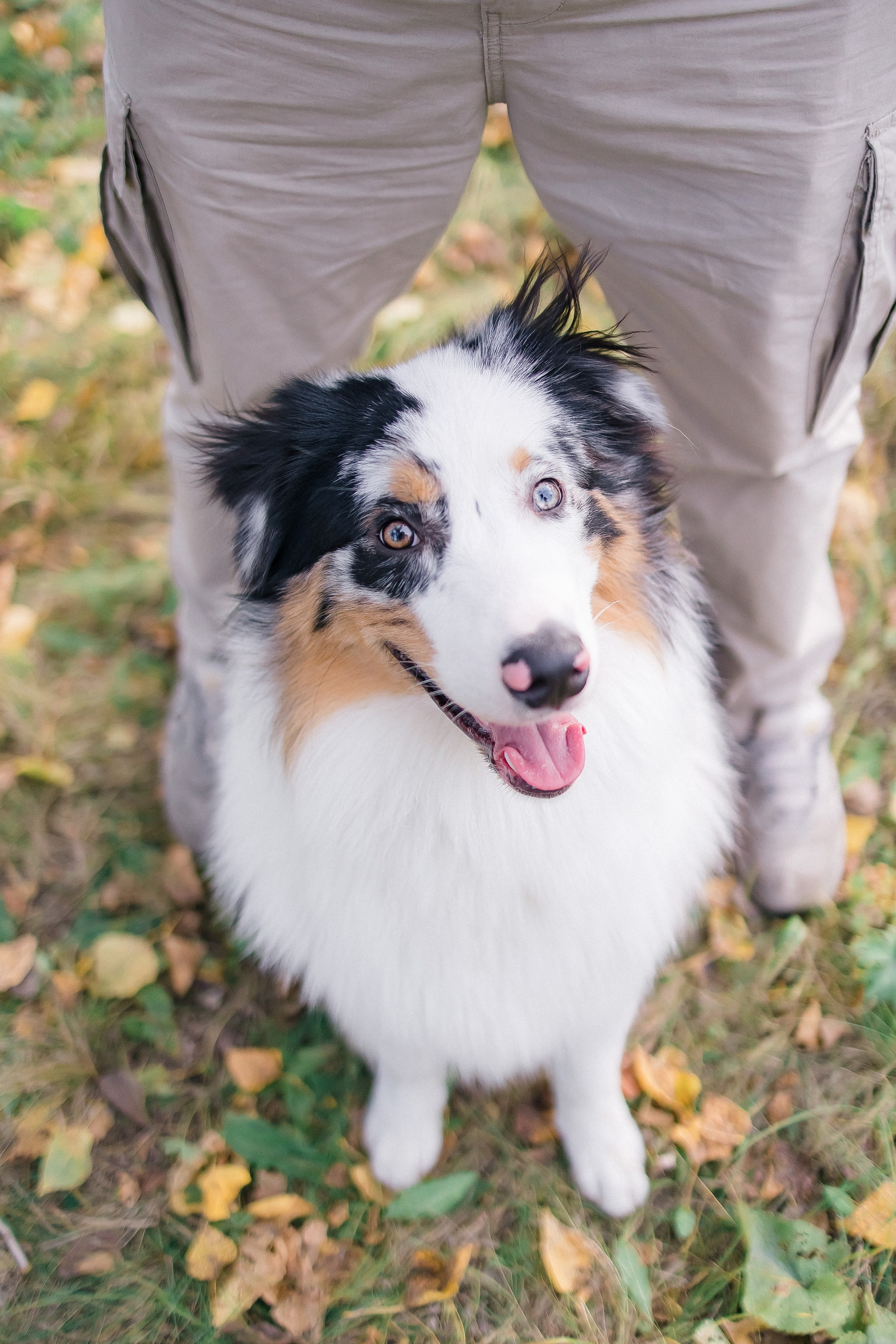 Аусси Дэймон. Свадебный и женский фотограф