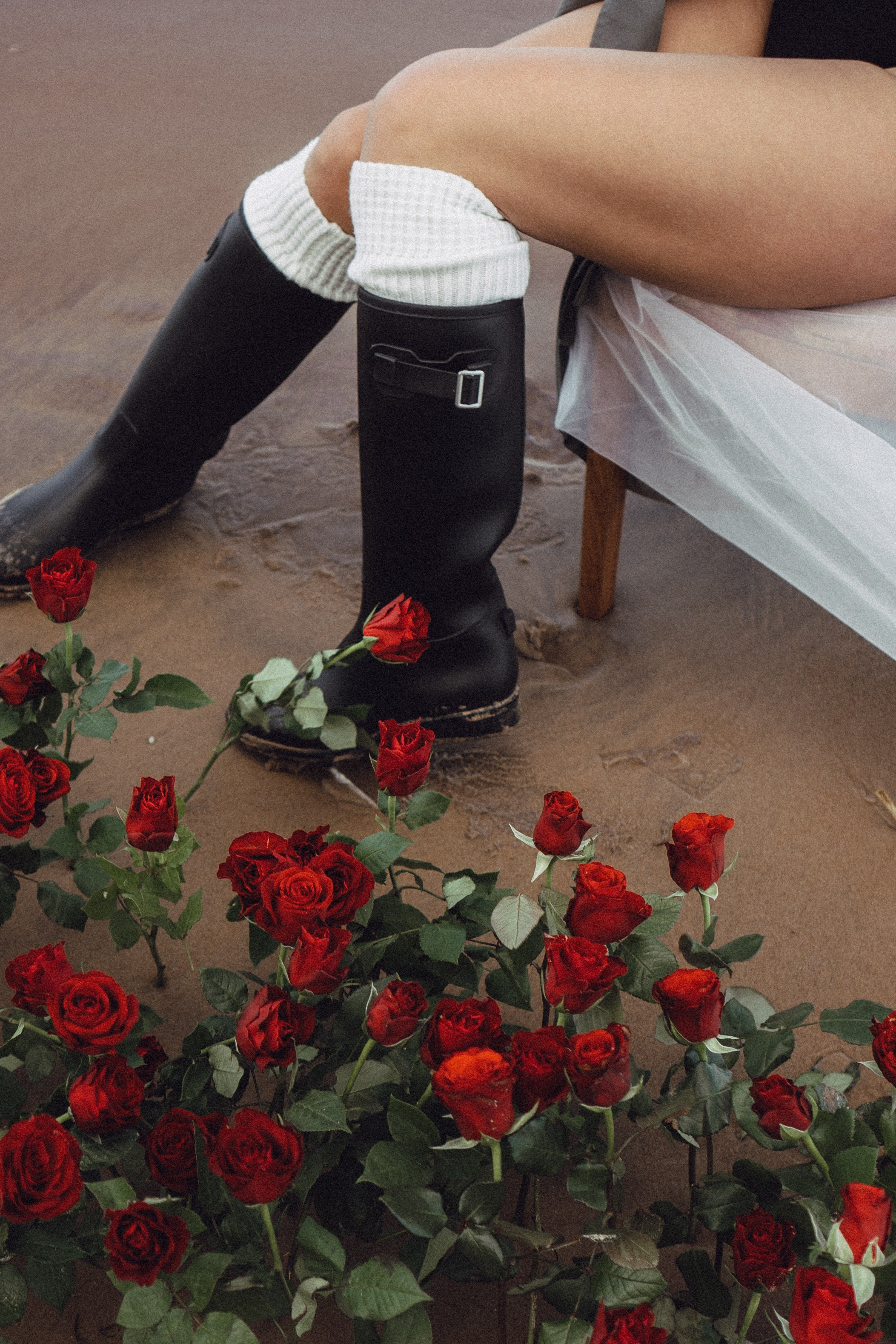 Розы. Профессиональный фотограф, Санкт-Петербург — Виктория Богомолова