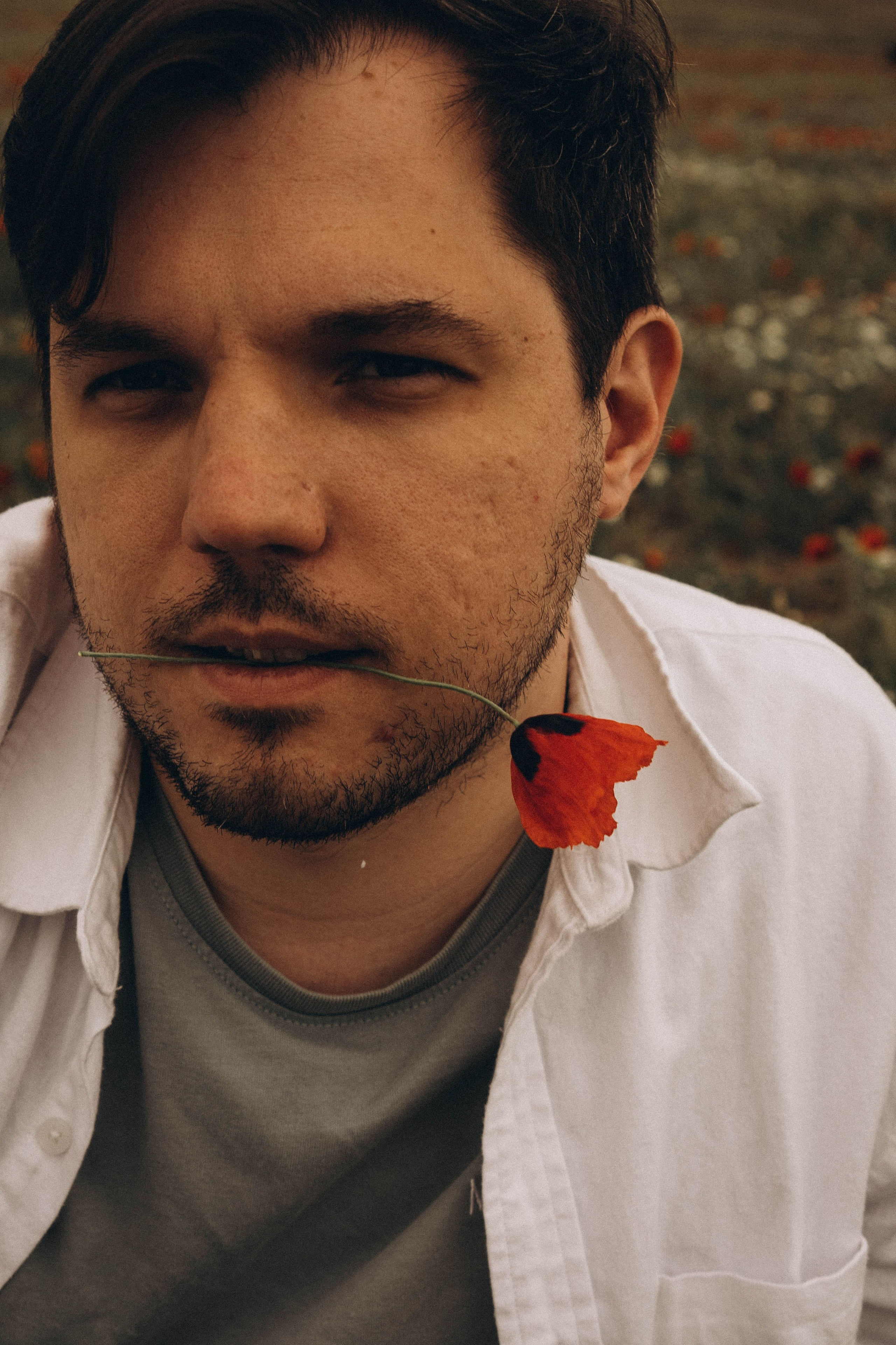 Маки. Профессиональный фотограф, Санкт-Петербург — Виктория Богомолова