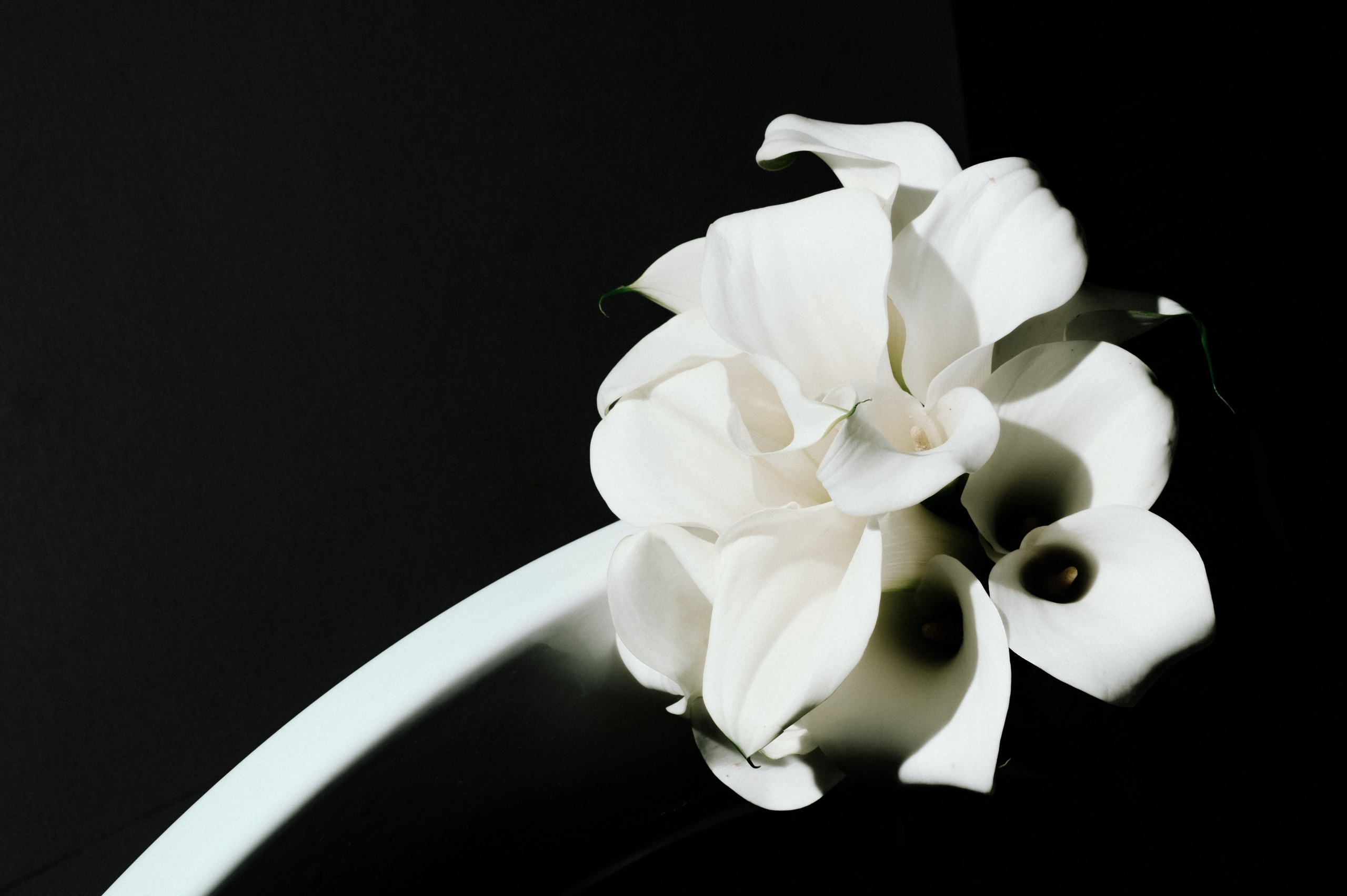 Helen_yes1 & Павел ⚡️ 2024. Фотограф Вито Бурмасов | Москва