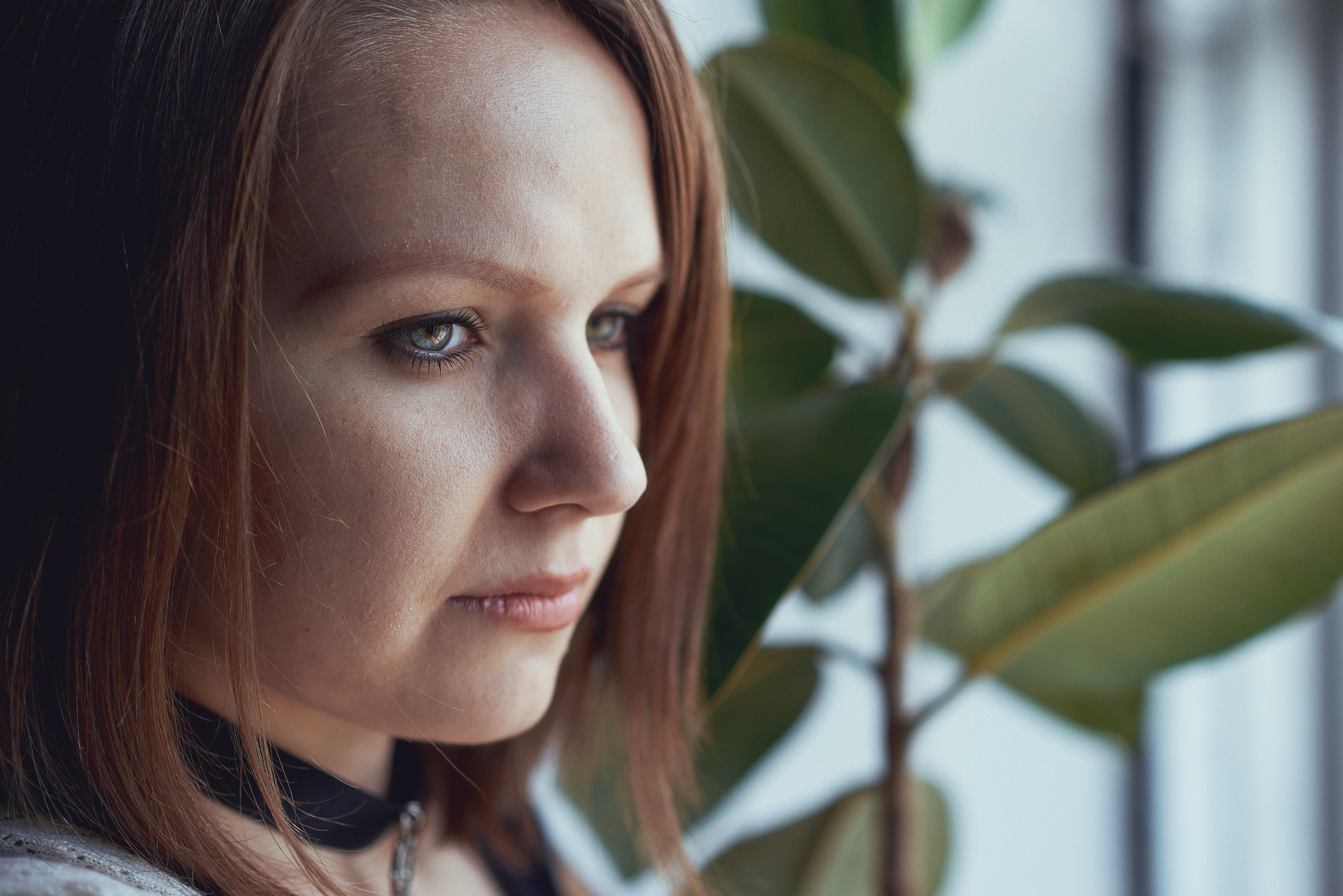 Леон. Семейный фотограф в Барнауле, Горный Алтай, Заринск, Алейск