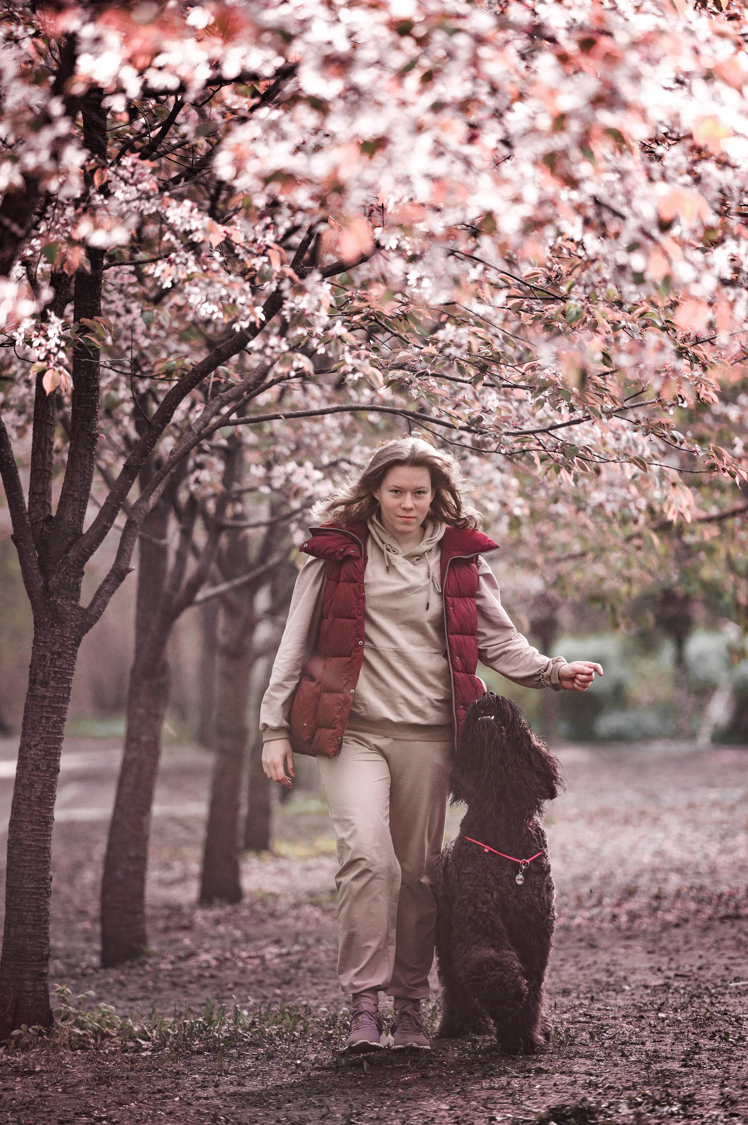 Черныши, сакура и краски холи. Фотограф-анималист