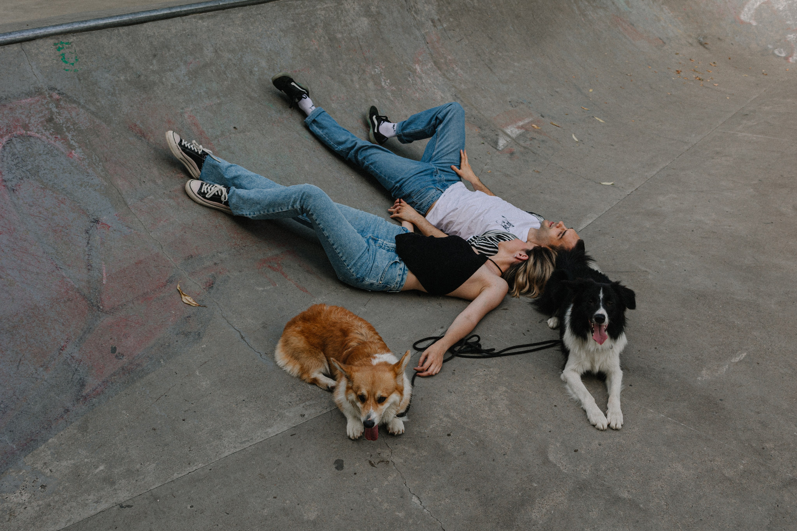 Брюс, Вейв и их ро. Фотораф — анималист Мария Шистка