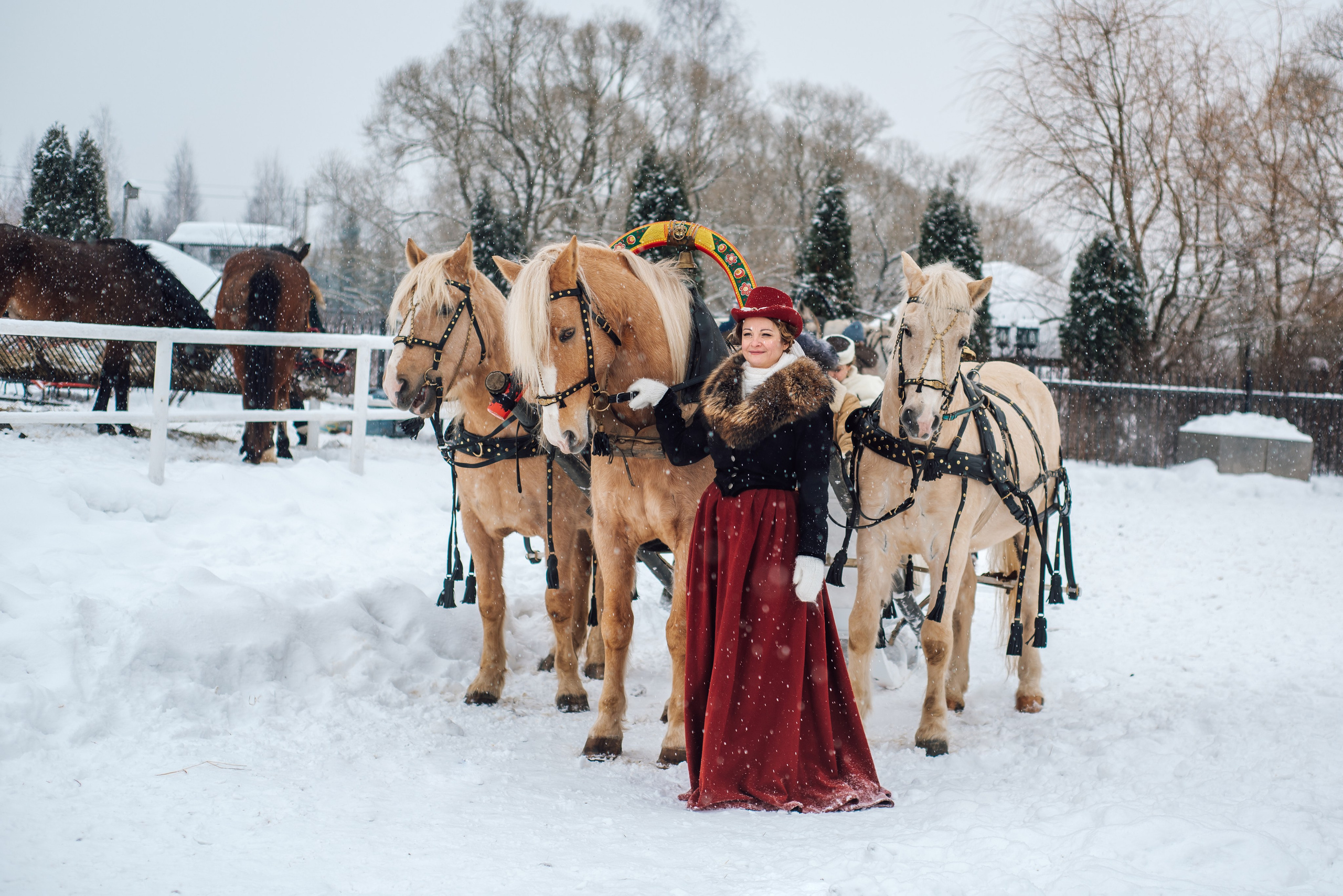Зимняя парфорсная охота. Фотограф Диана Вальтер