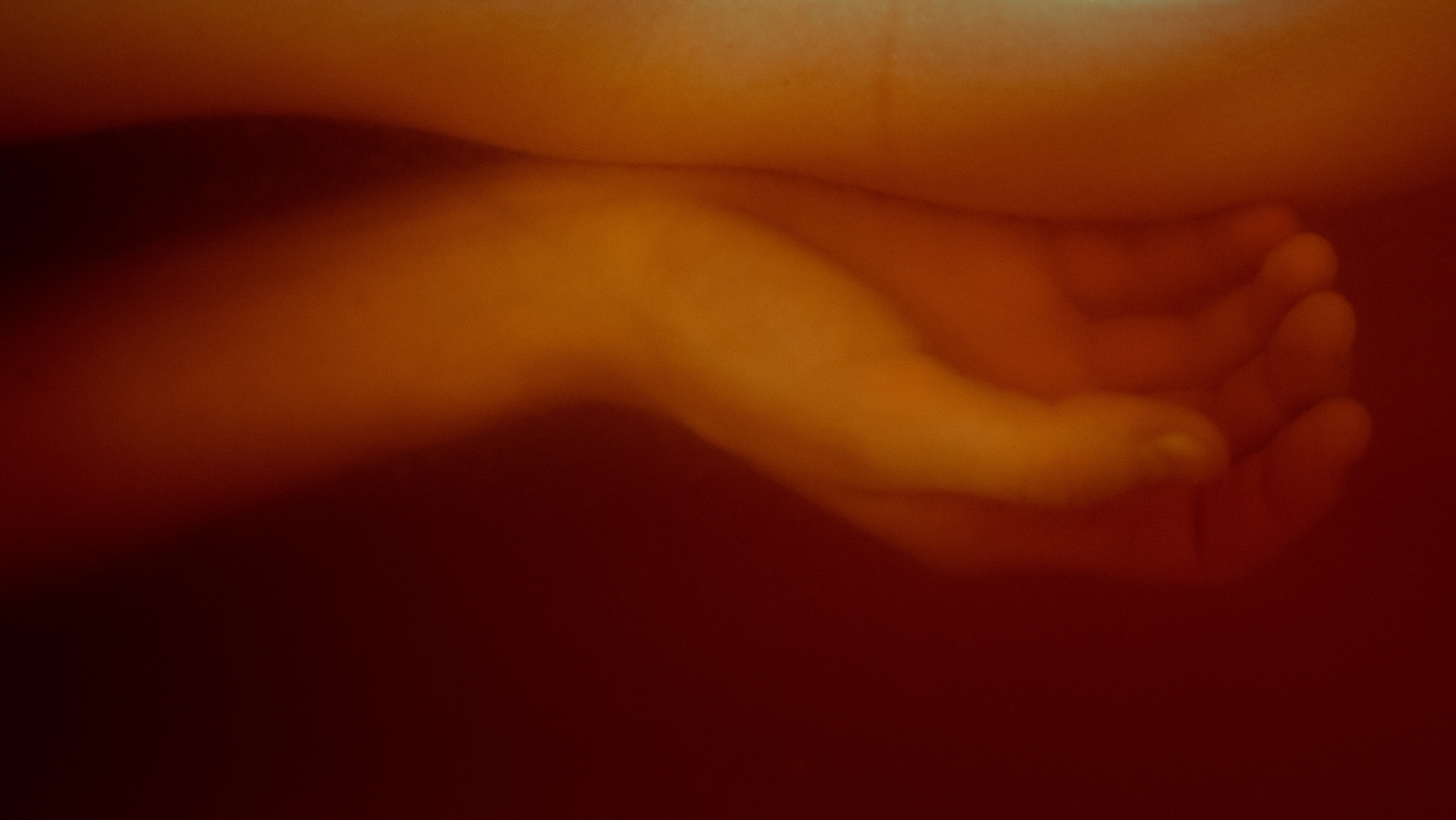 Анжелика Кондратьева