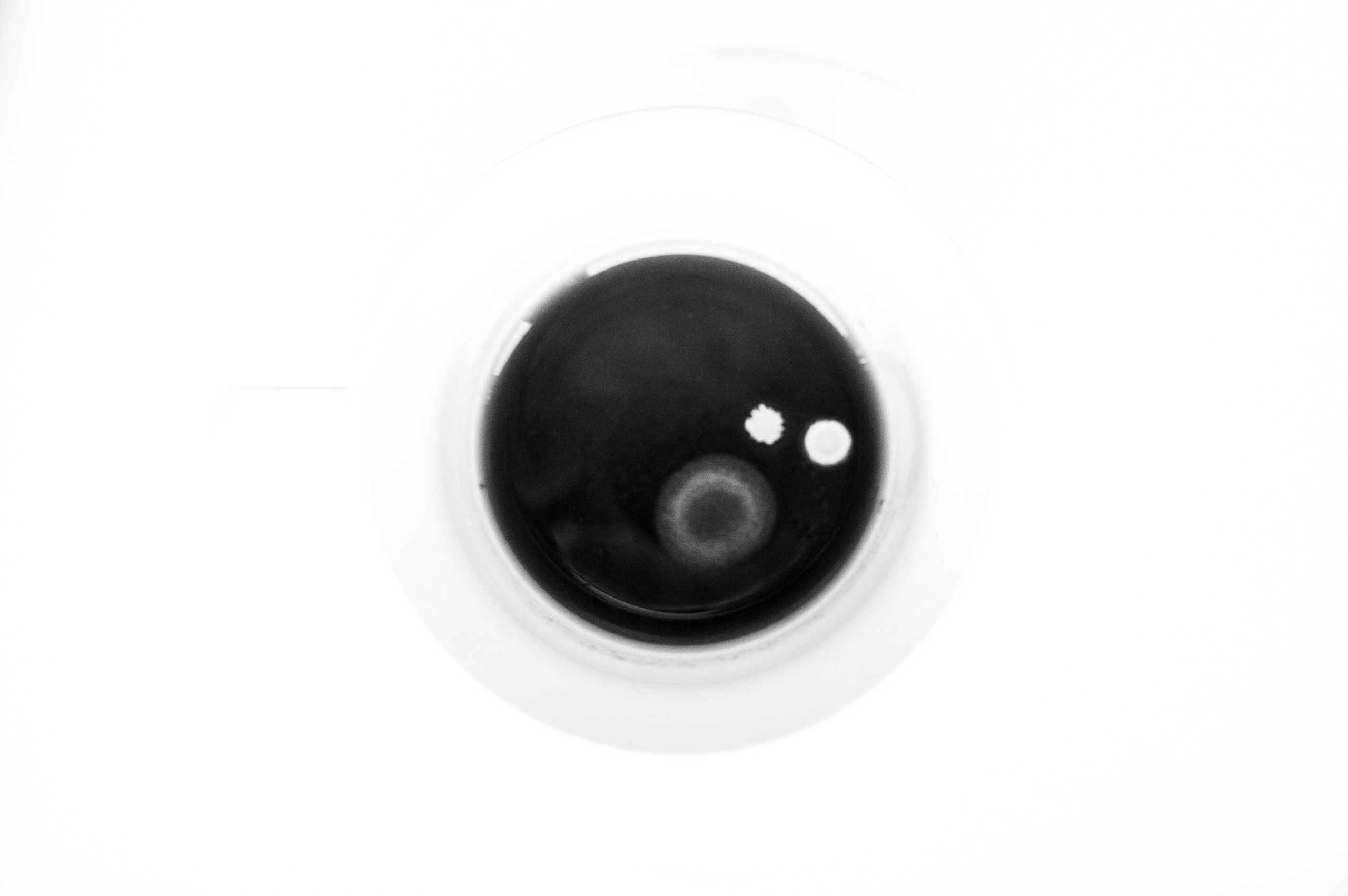 Анжелика Кондратьева