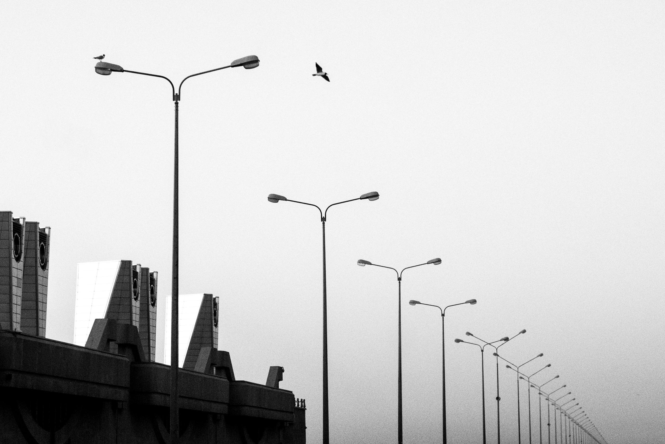 Анжелика Кондратьева