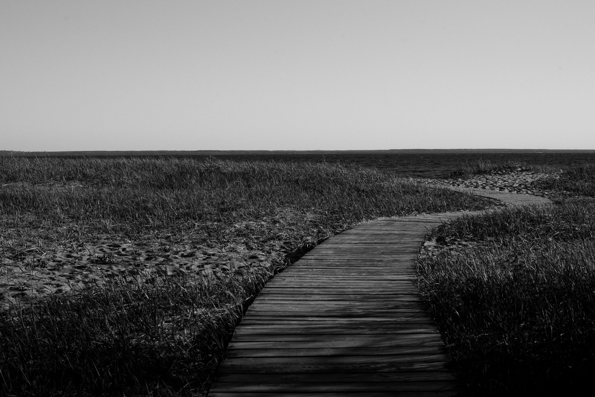 Анжелика Кондратьева