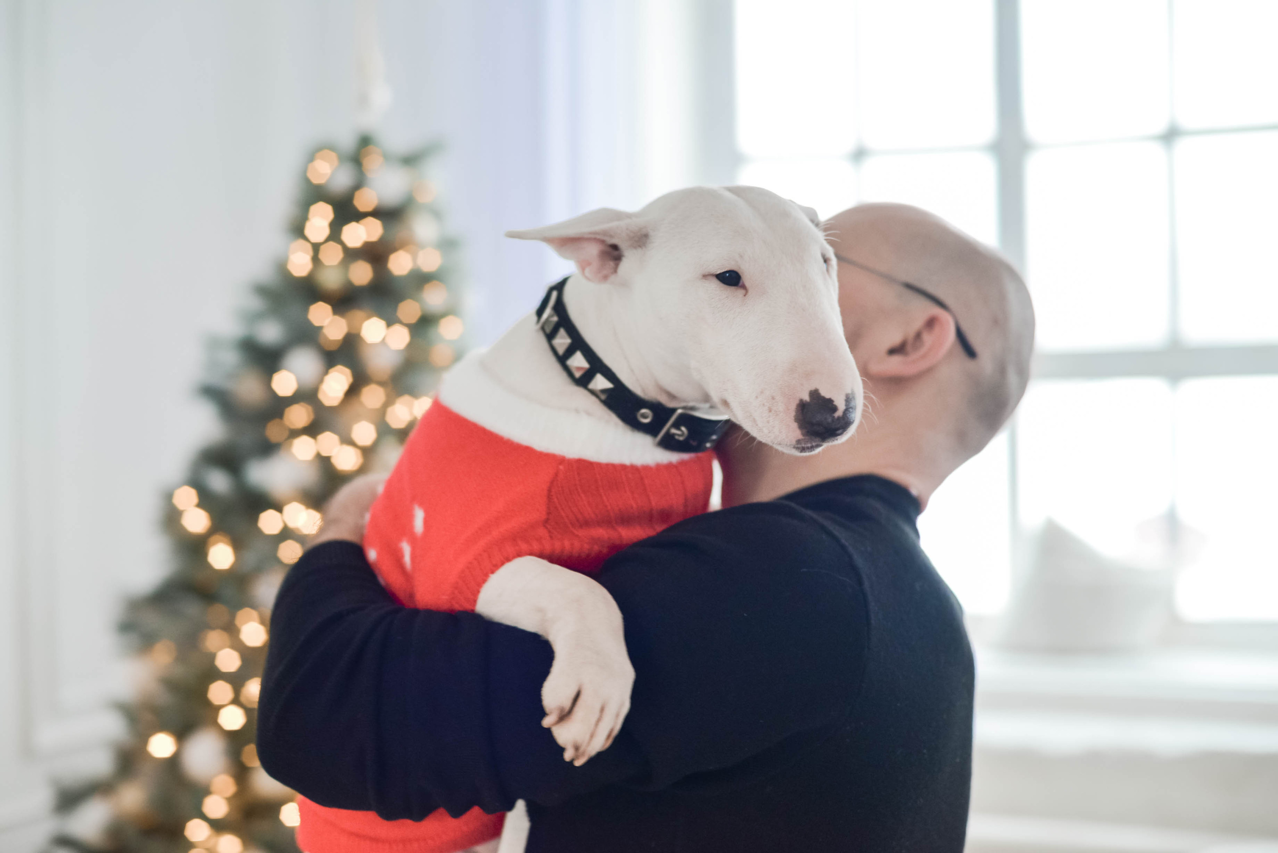 Семья Александры и Константина. Семейный и свадебный фотограф в Москве и Подмосковье Еремина Александр