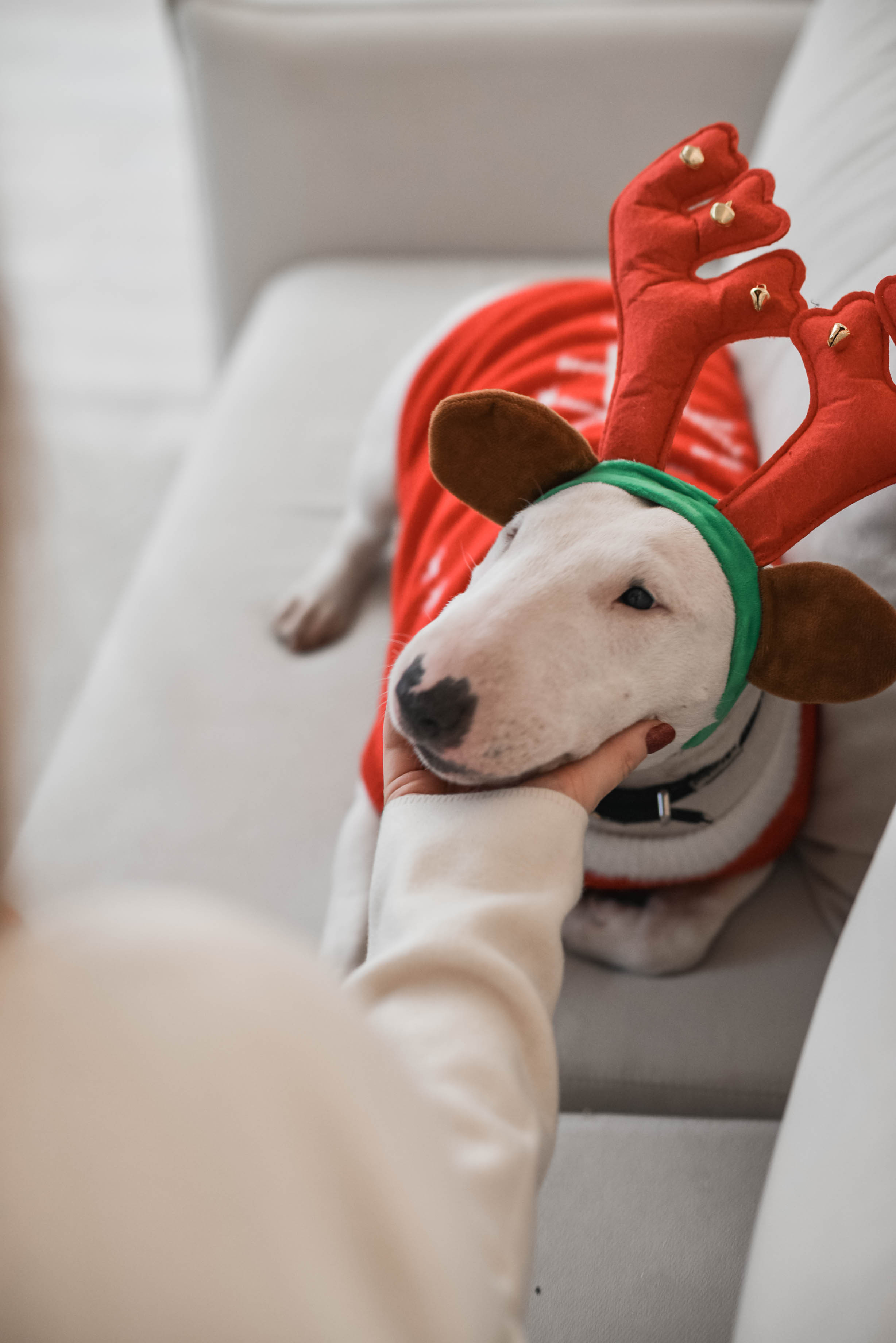 Семья Александры и Константина. Семейный и свадебный фотограф в Москве и Подмосковье Еремина Александр