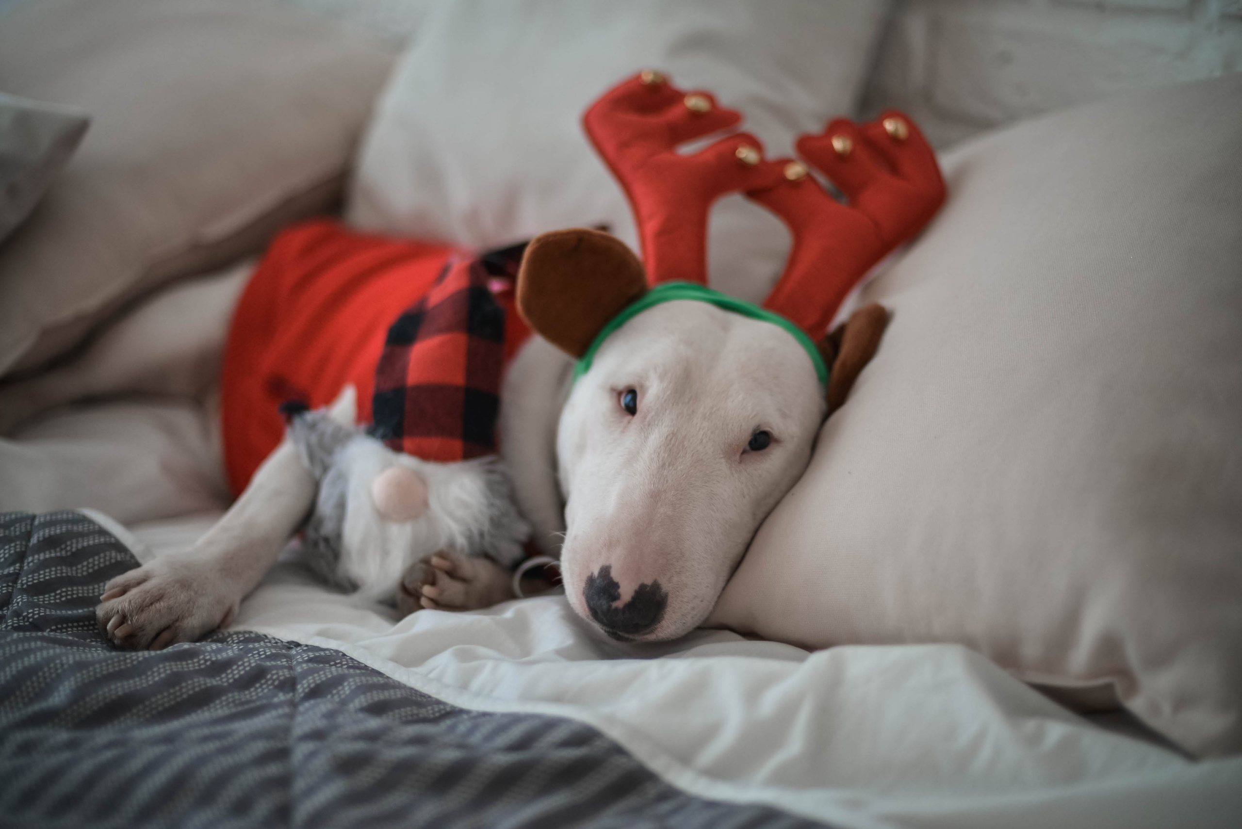 Семья Александры и Константина. Семейный и свадебный фотограф в Москве и Подмосковье Еремина Александр