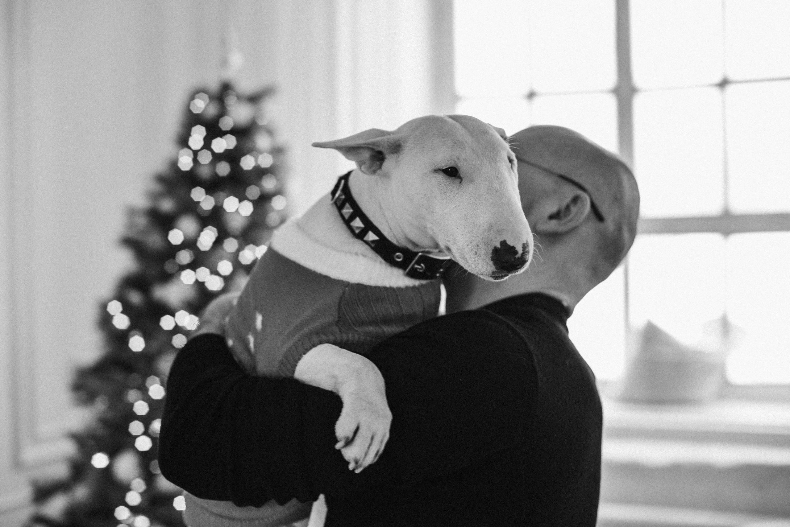 Семья Александры и Константина. Семейный и свадебный фотограф в Москве и Подмосковье Еремина Александр