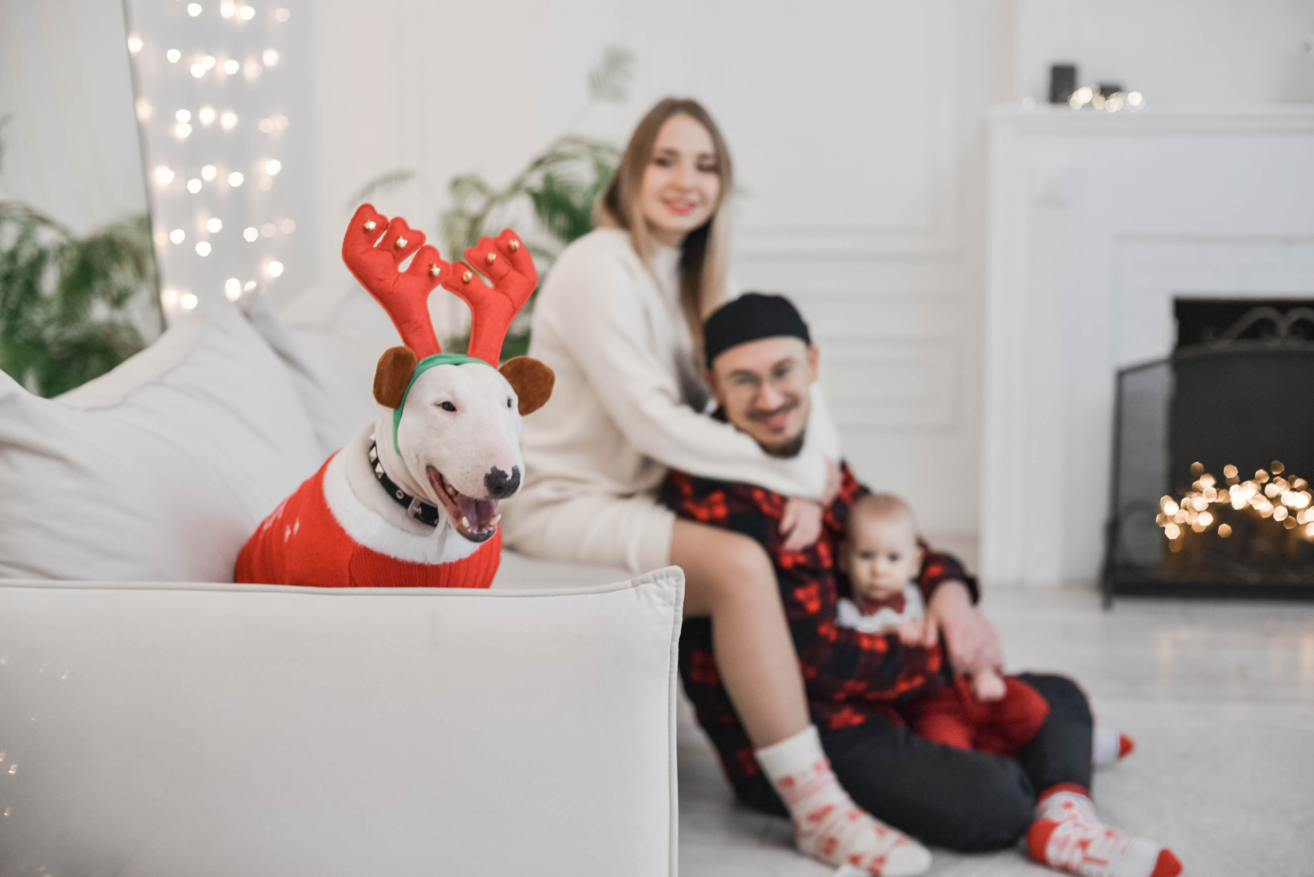 Семья Александры и Константина. Семейный и свадебный фотограф в Москве и Подмосковье Еремина Александр