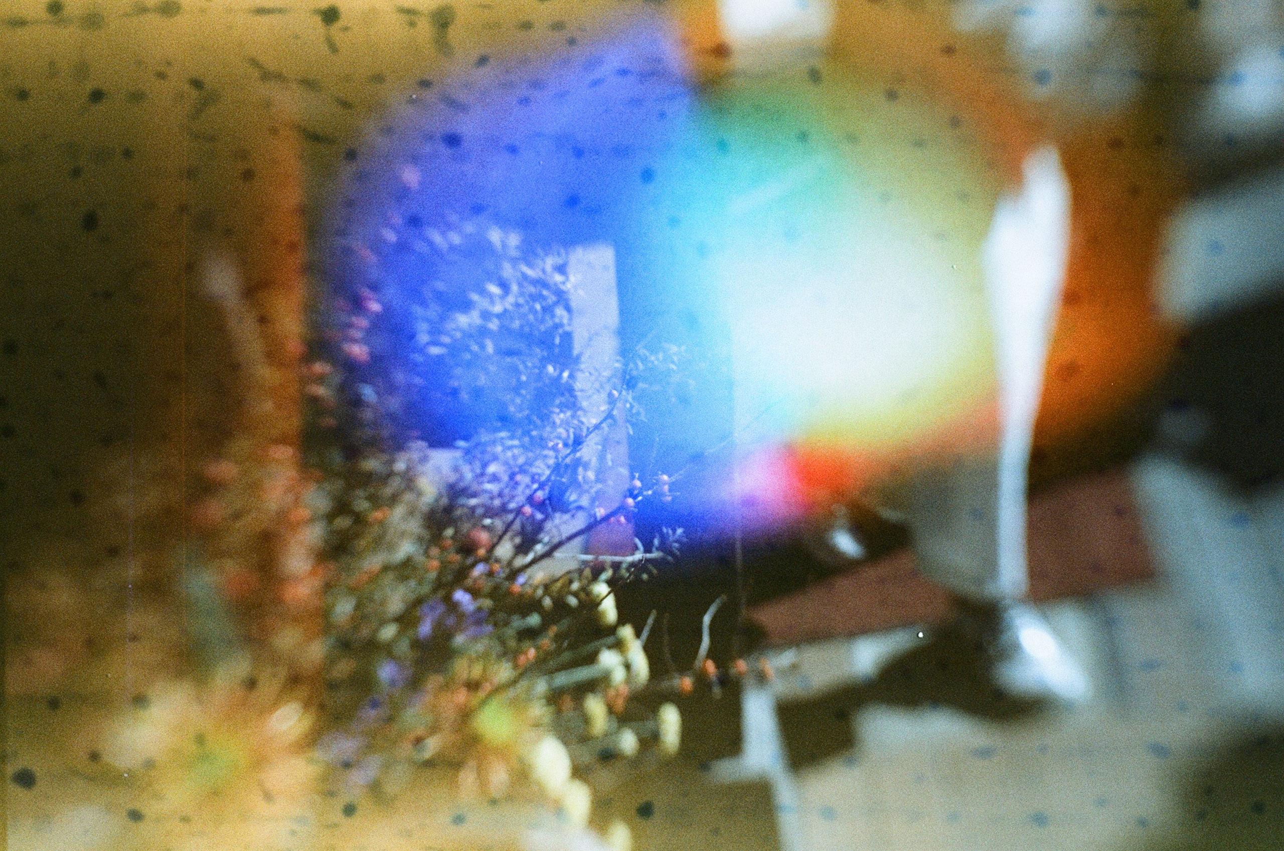 JAPAN FILM. International visual artist