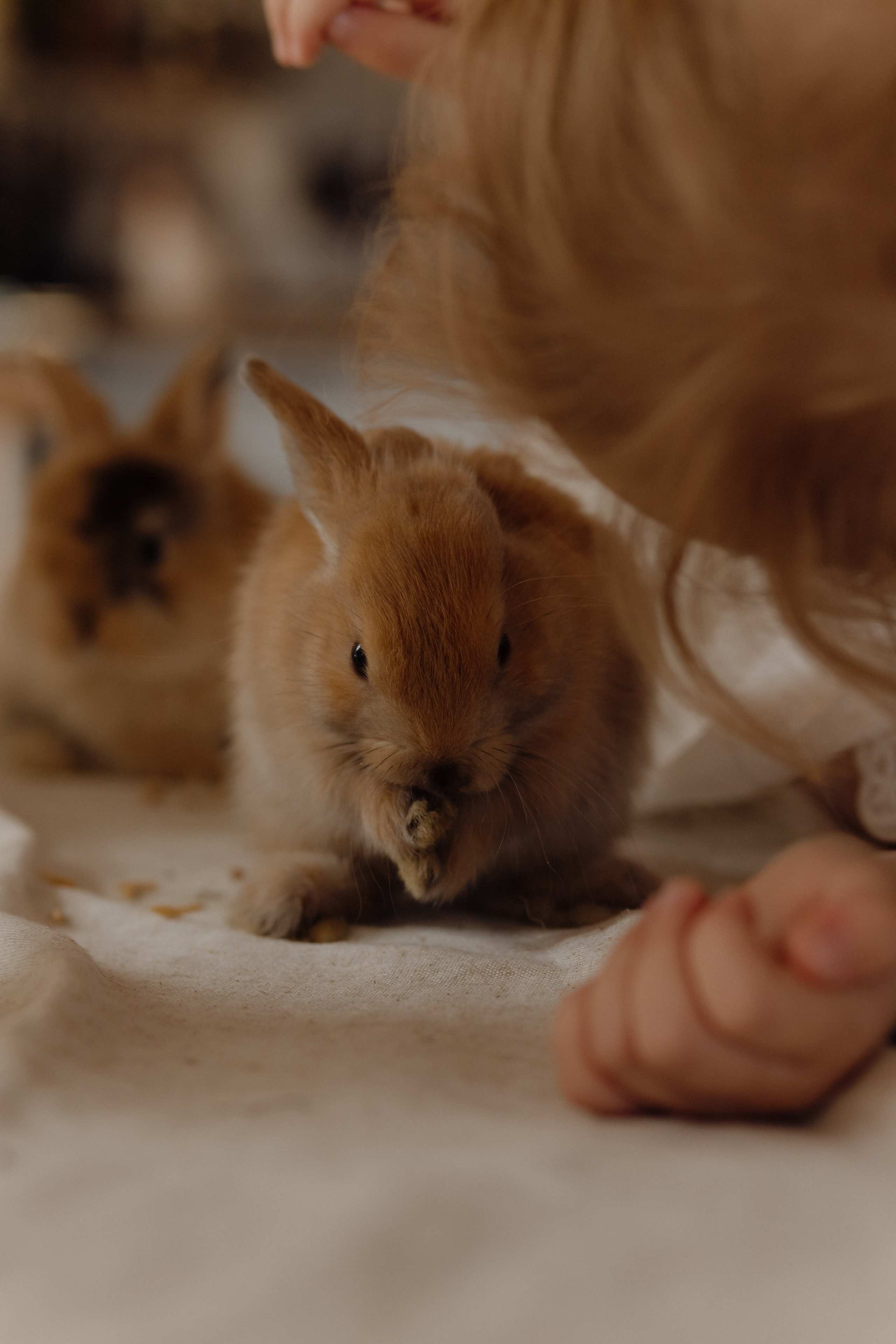 Варвара. Семейный и свадебный фотограф в Челябинске Мария Леонтьева