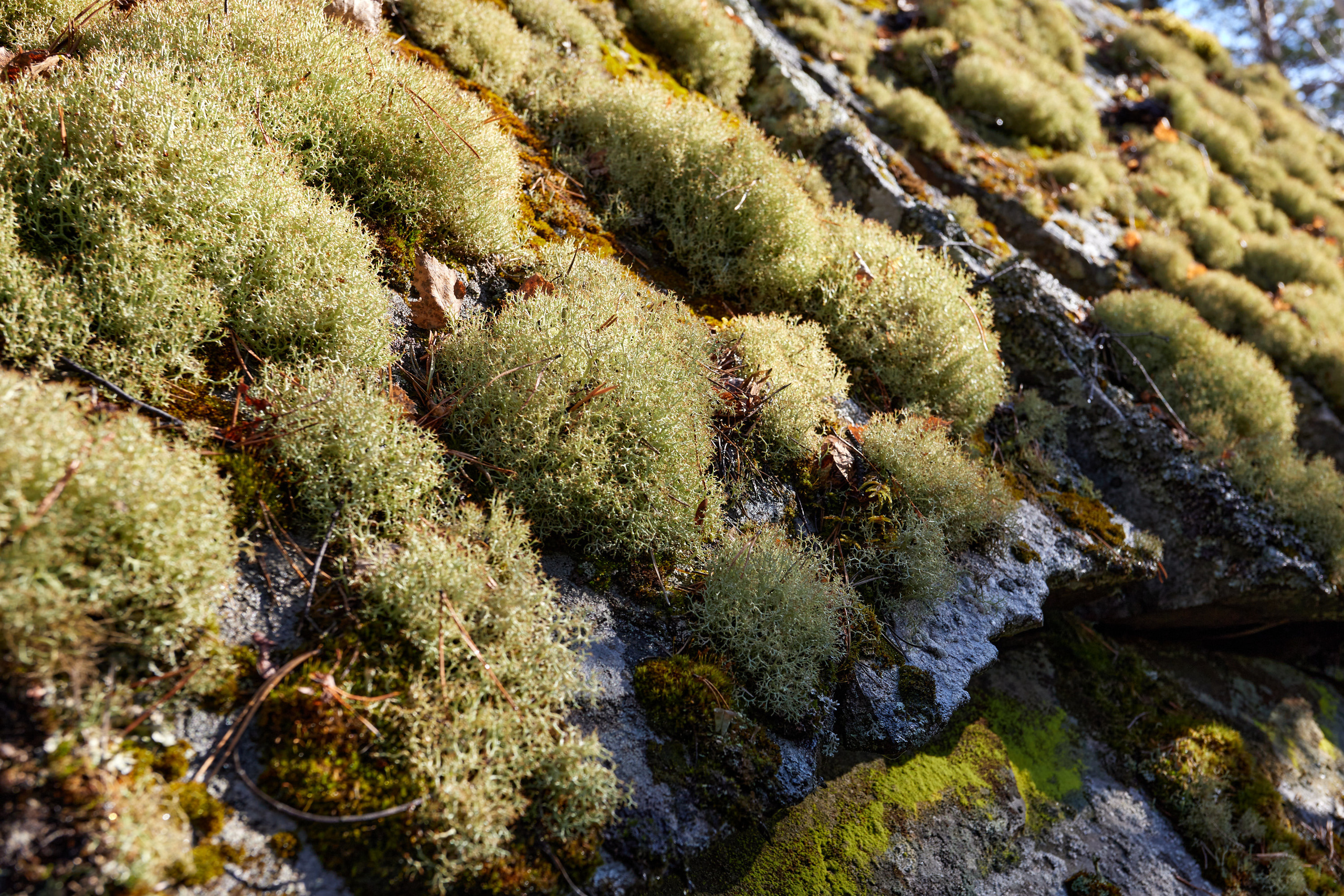 Гора Азов. Фотограф из Екатеринбурга Игорь Тихомиров. Пейзажное фото и фотосессии