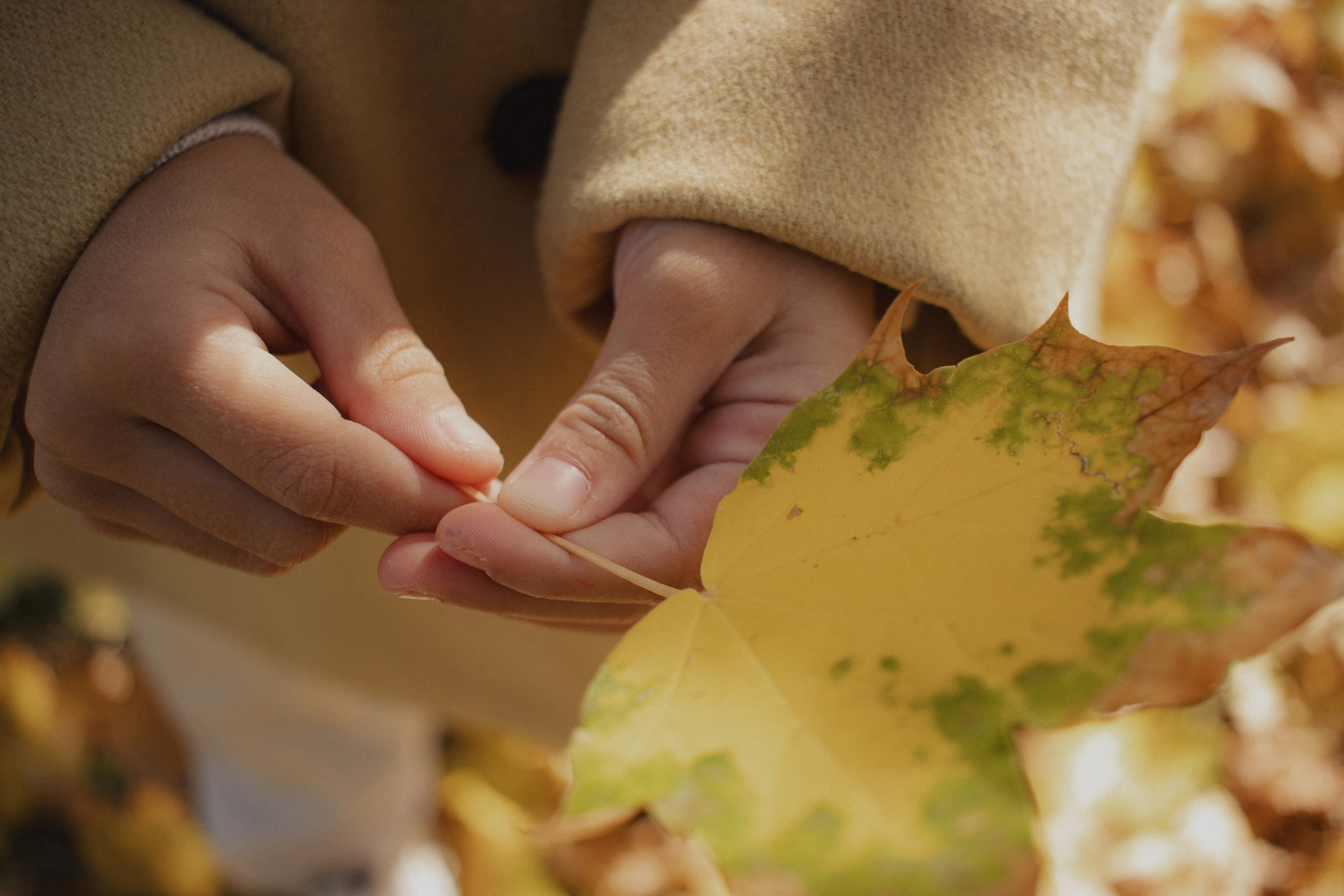 Margarita+Diana+Rita. Lusy Redina | Семейный Фотограф | Волгоград