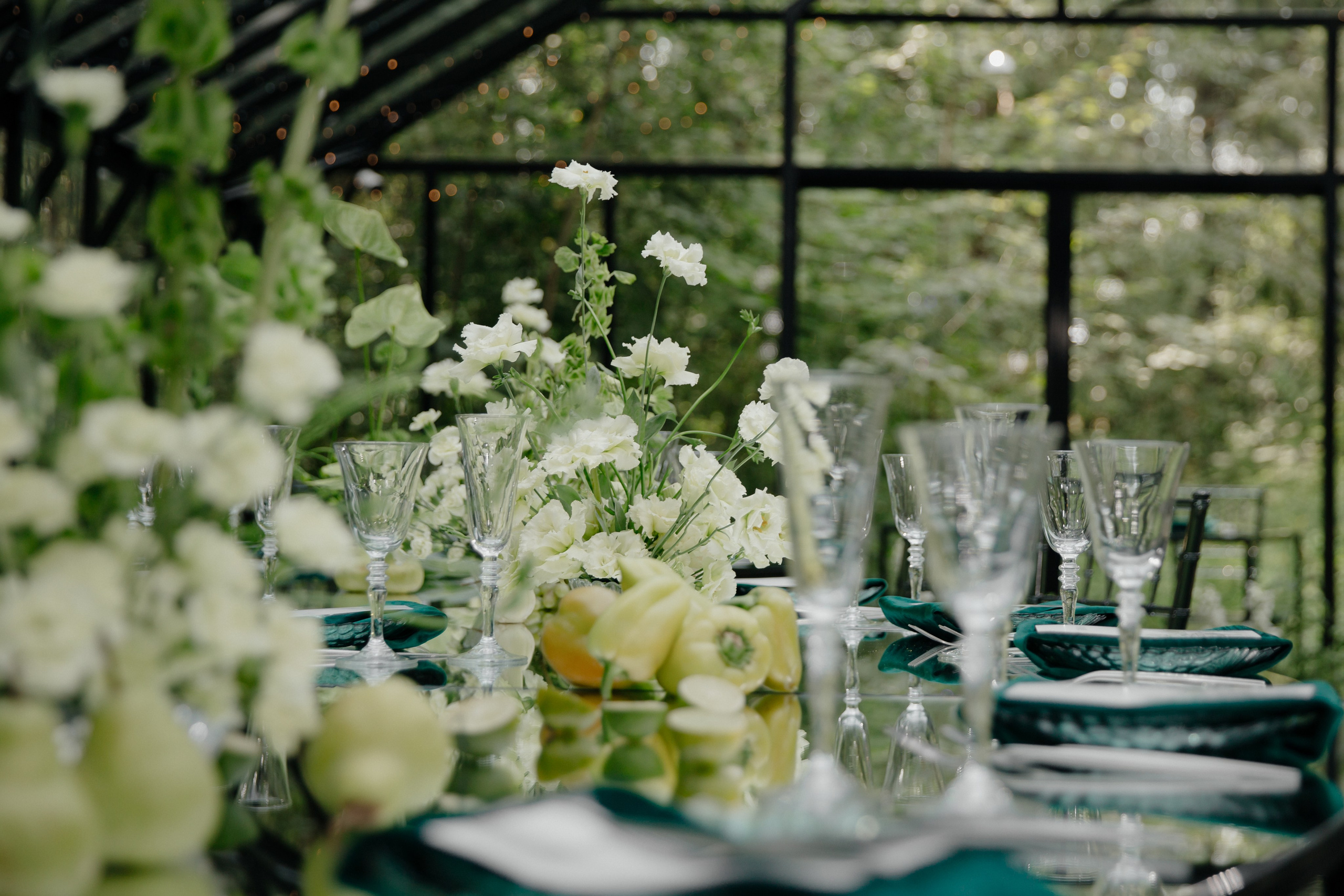 08.08.2024. RETOUCH-HOUSE