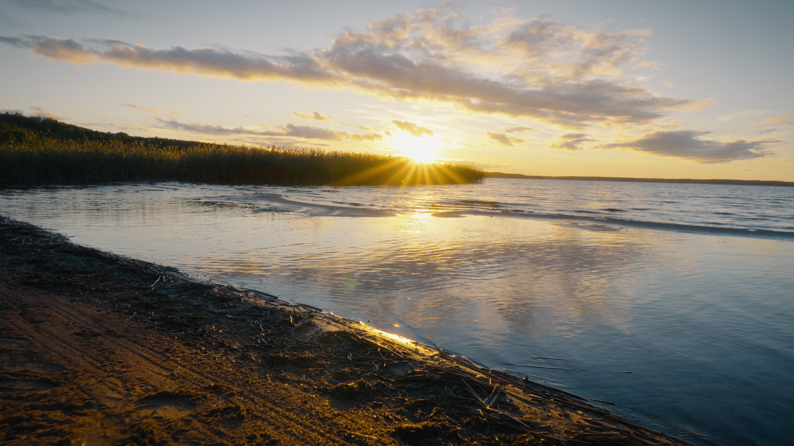 Тихолесье — Ваш дом и уют (promo). Цветокоррекция видео онлайн Иван Сержанов